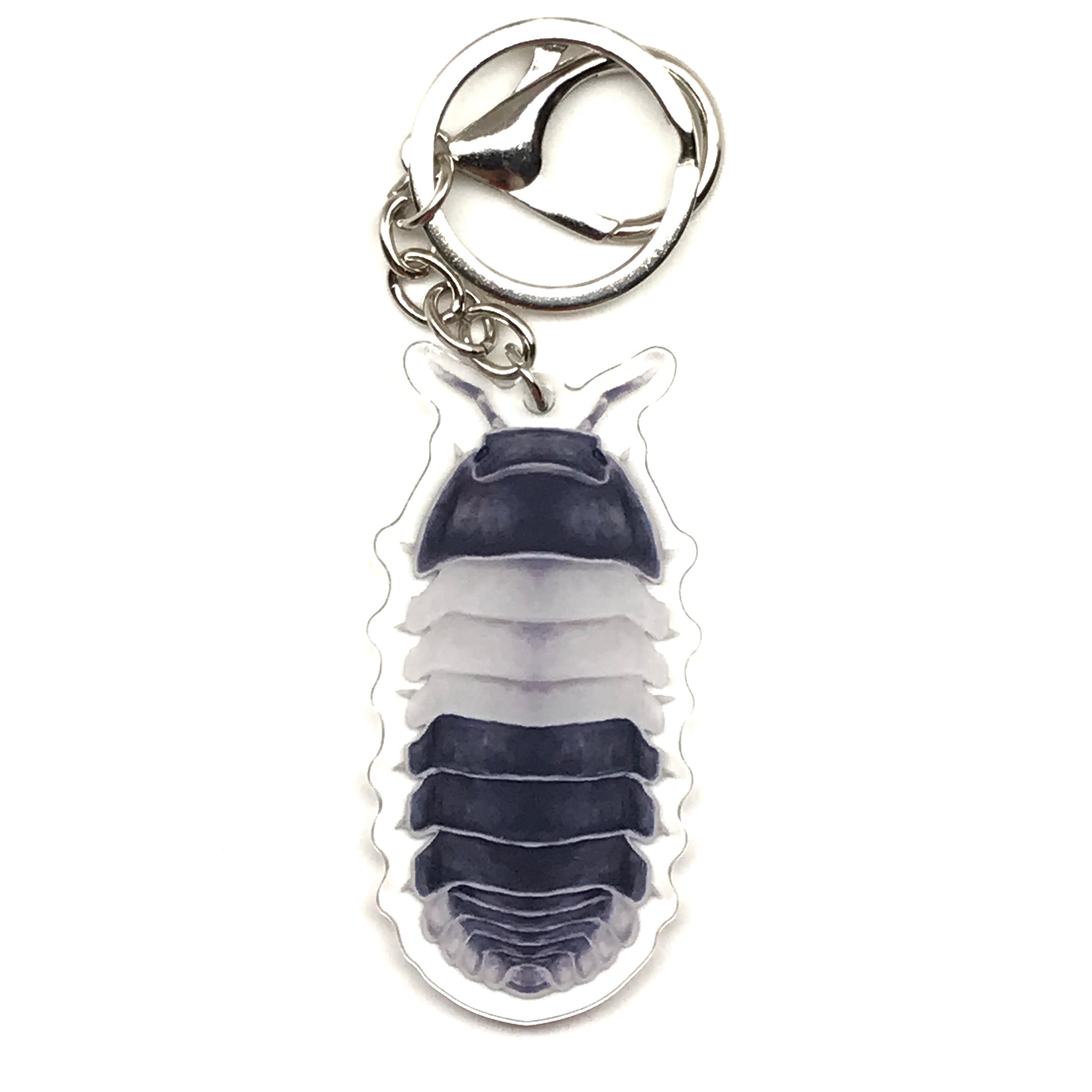 Acrylic Panda King Isopod keychain featuring a detailed Cubaris Sp. Panda King charm on a clear background.