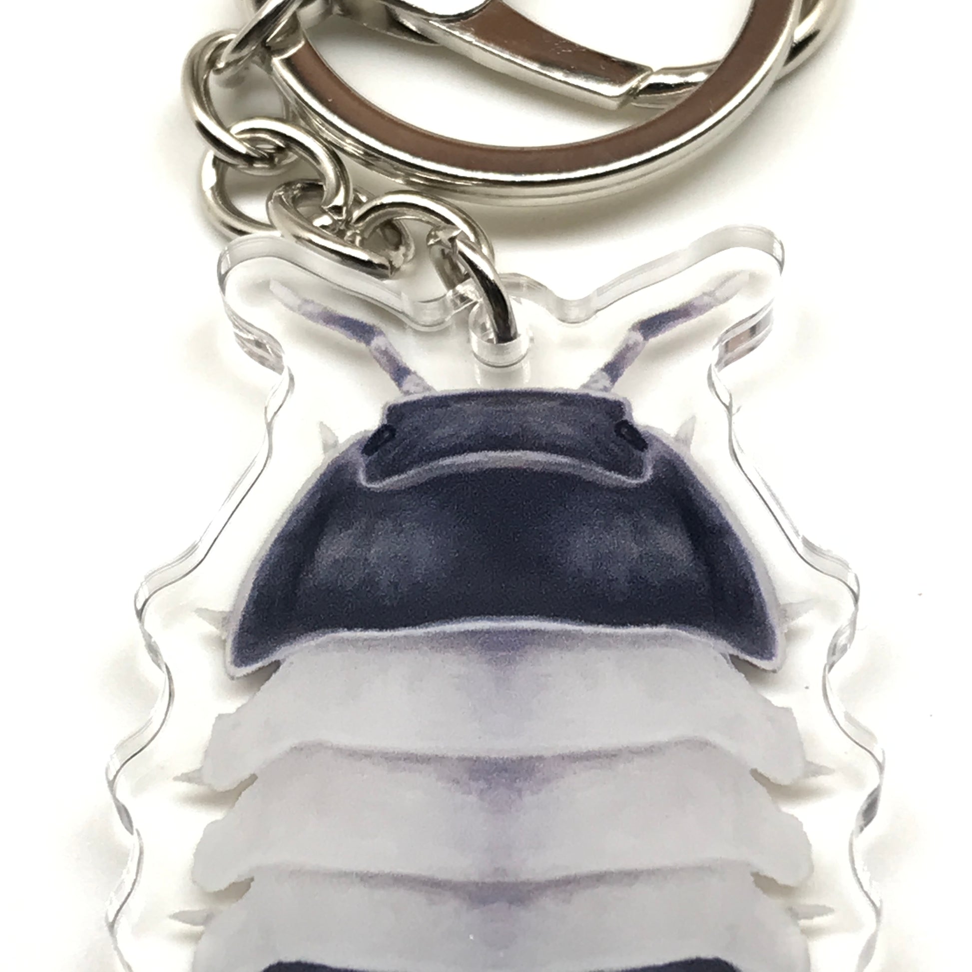 Acrylic panda king isopod keychain featuring a detailed Cubaris Panda King design, showcasing a cute panda-themed crustacean charm.