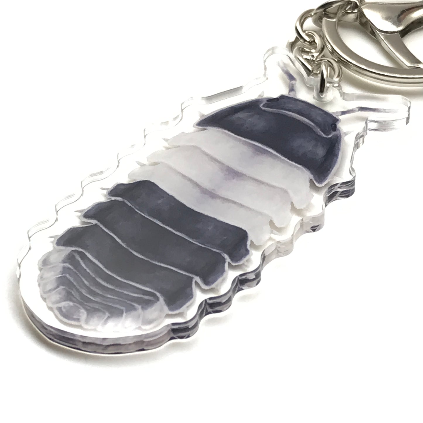 Acrylic Panda King Isopod keychain featuring a detailed Cubaris Sp. Panda King design on a clear charm.