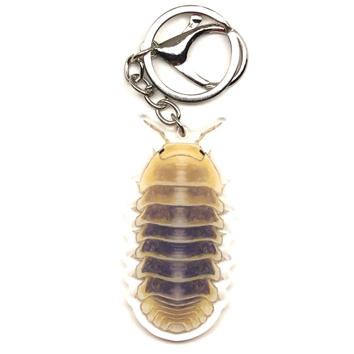 Acrylic Jupiter Isopod keychain with Cubaris Sp. Jupiter design, featuring a detailed, colorful acrylic charm on a metal keyring.