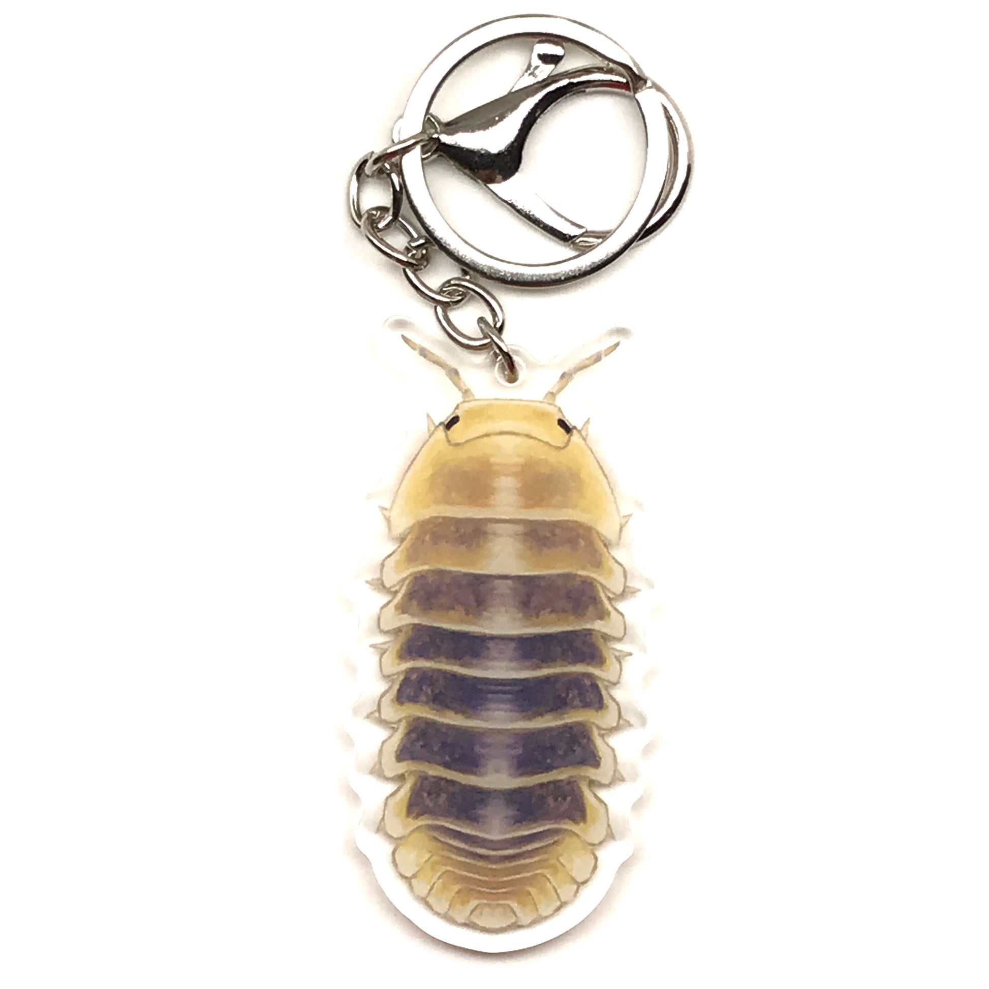 Acrylic Jupiter Isopod keychain with Cubaris Sp. Jupiter design, featuring a detailed, colorful acrylic charm on a metal keyring.