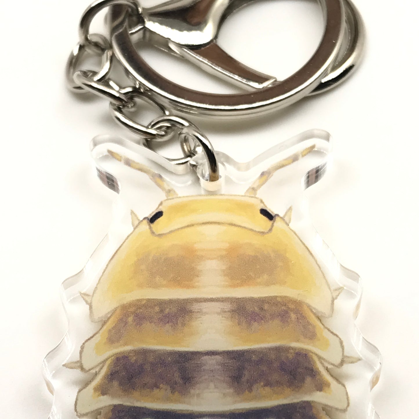 Acrylic Jupiter Isopod keychain featuring a detailed Cubaris Sp. Jupiter design, hanging from a metal keyring.