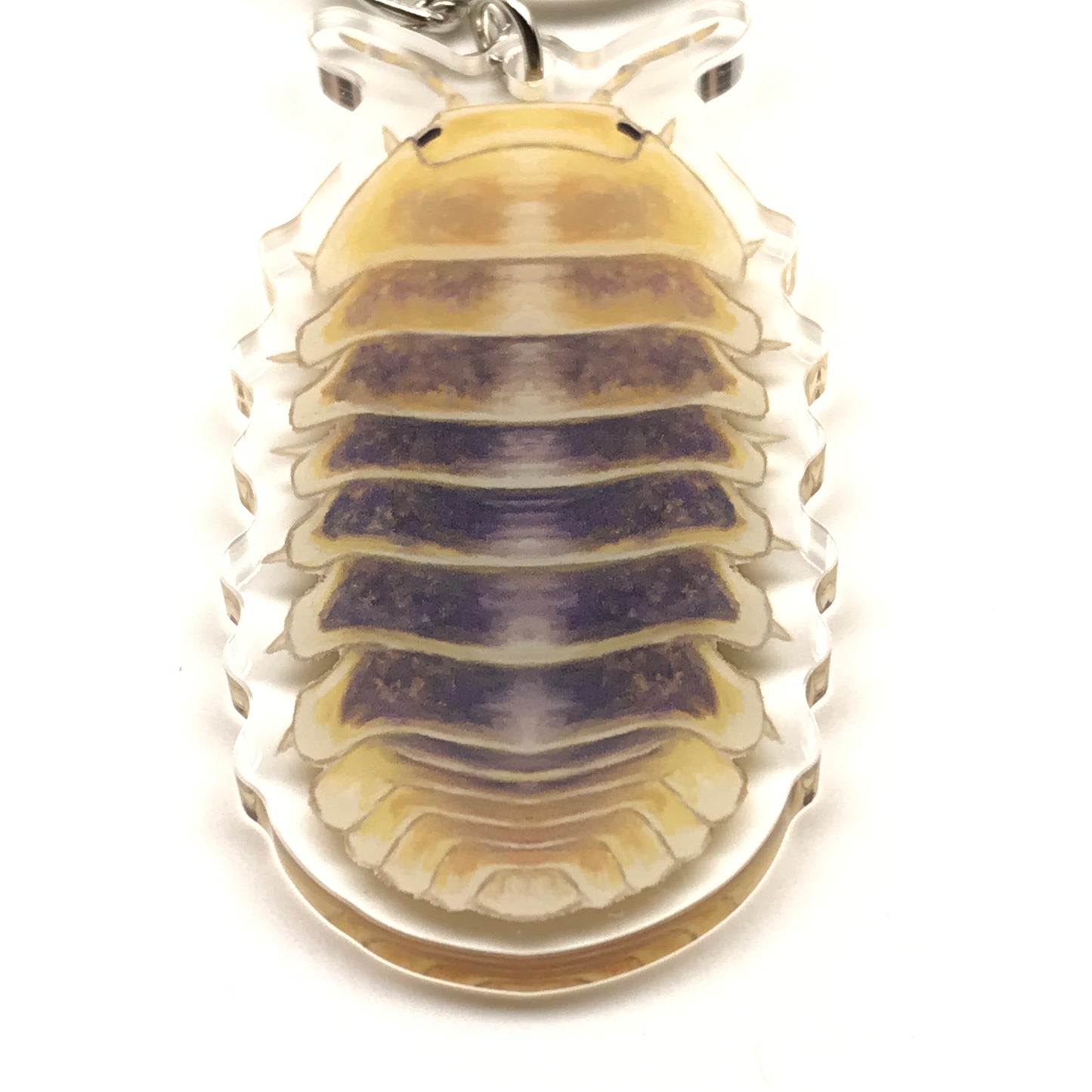 Acrylic Jupiter Isopod keychain featuring Cubaris Sp. Jupiter design, soft colors, and detailed insect illustration on a clear background.