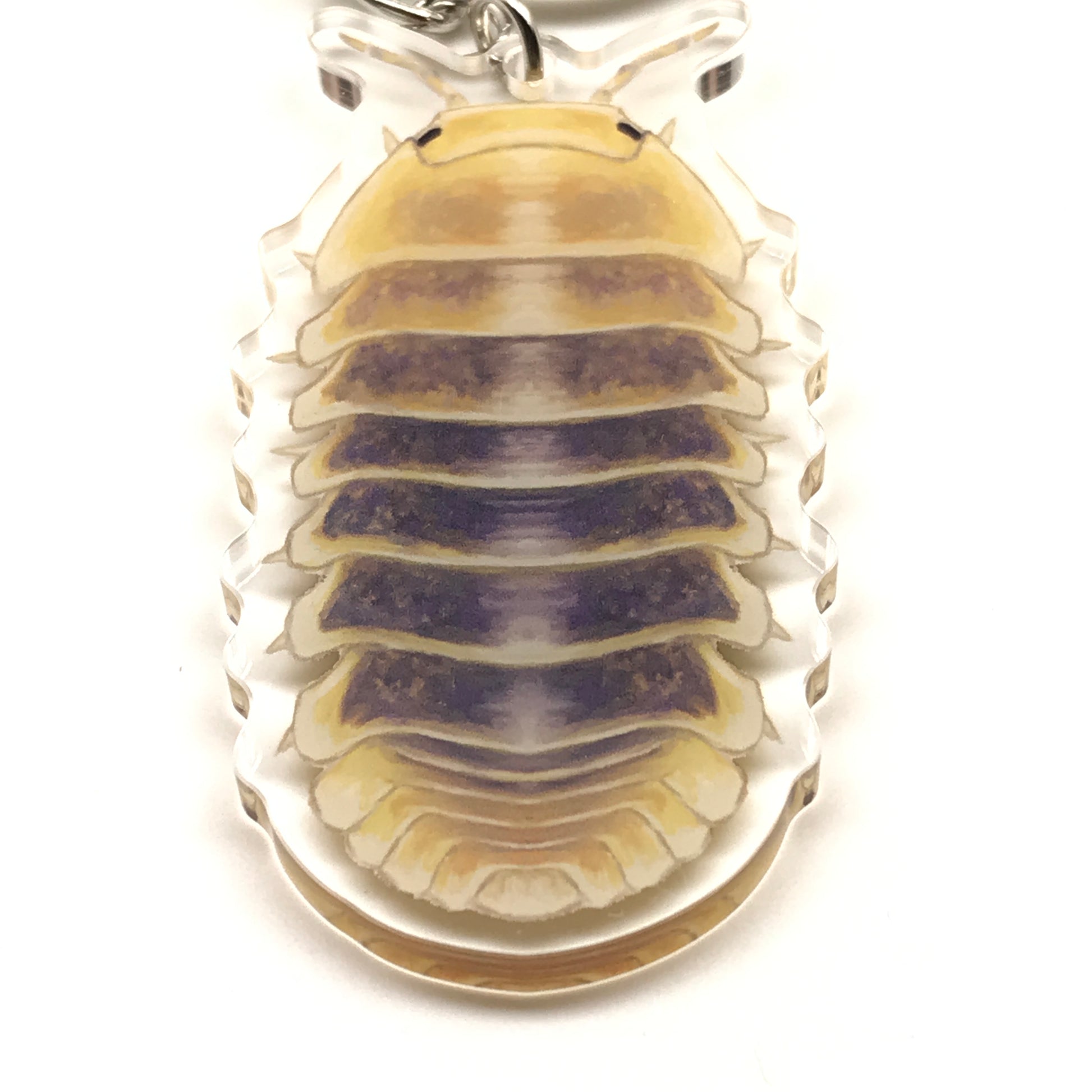 Acrylic Jupiter Isopod keychain featuring Cubaris Sp. Jupiter design, soft colors, and detailed insect illustration on a clear background.