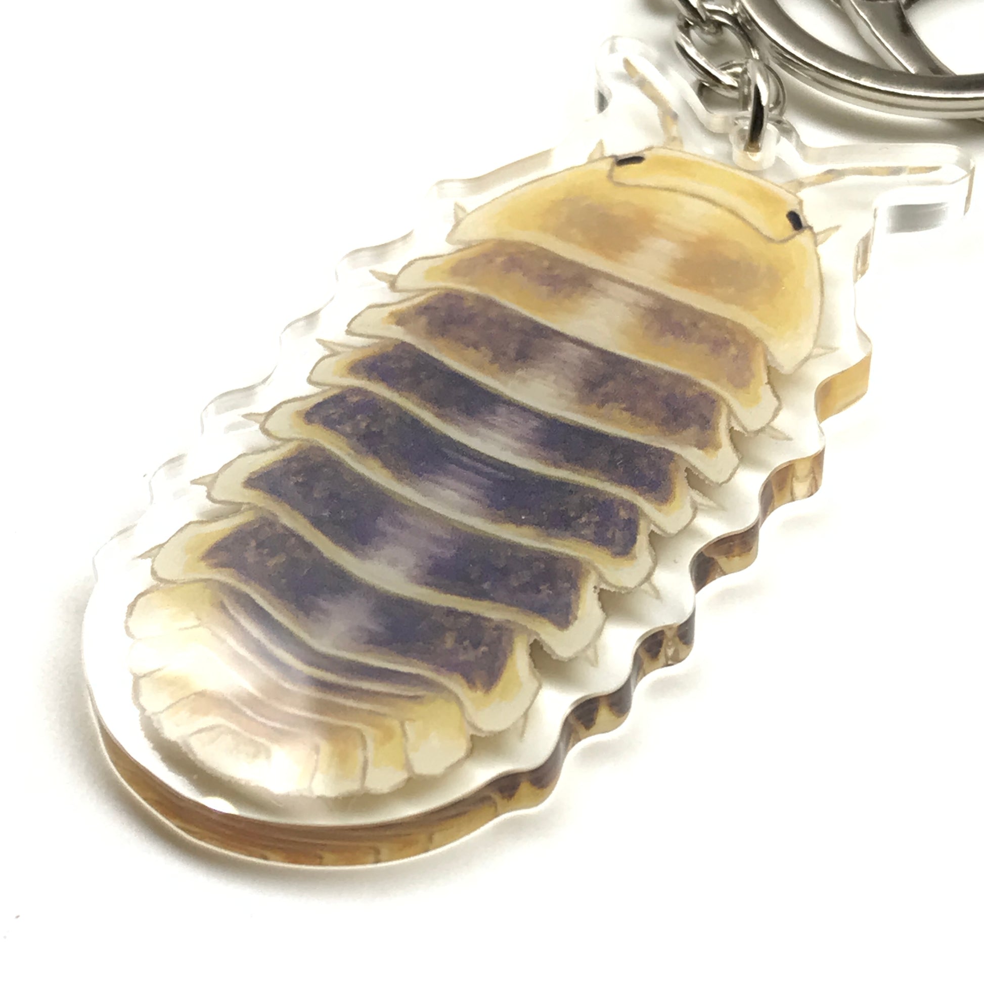 Acrylic Jupiter Isopod keychain with Cubaris Sp. Jupiter design, featuring a detailed, colorful replica of the isopod on a keyring.