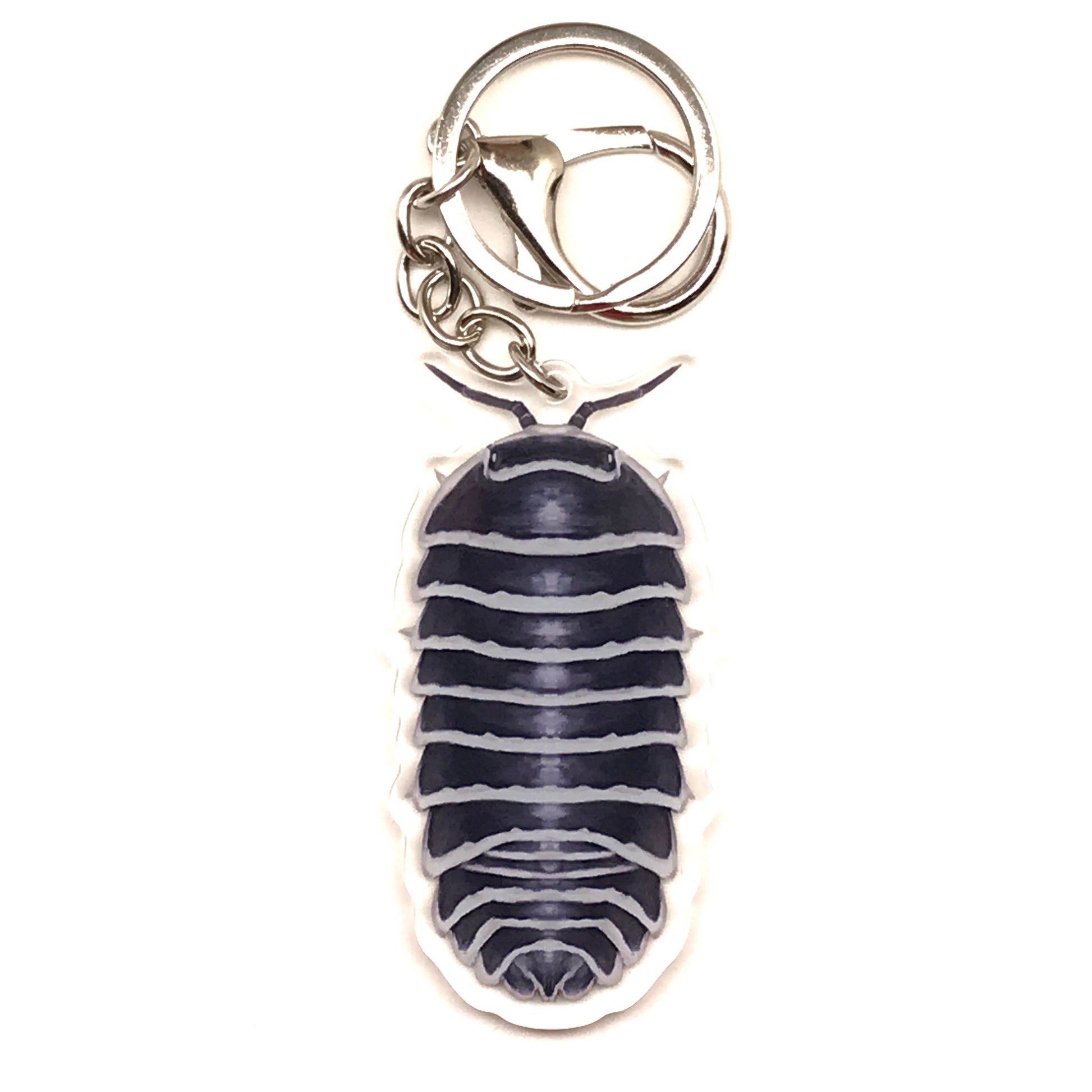 Zebra Isopod Armadillidium Maculatum acrylic keychain with detailed zebra-striped design, from The Silk Ranch.