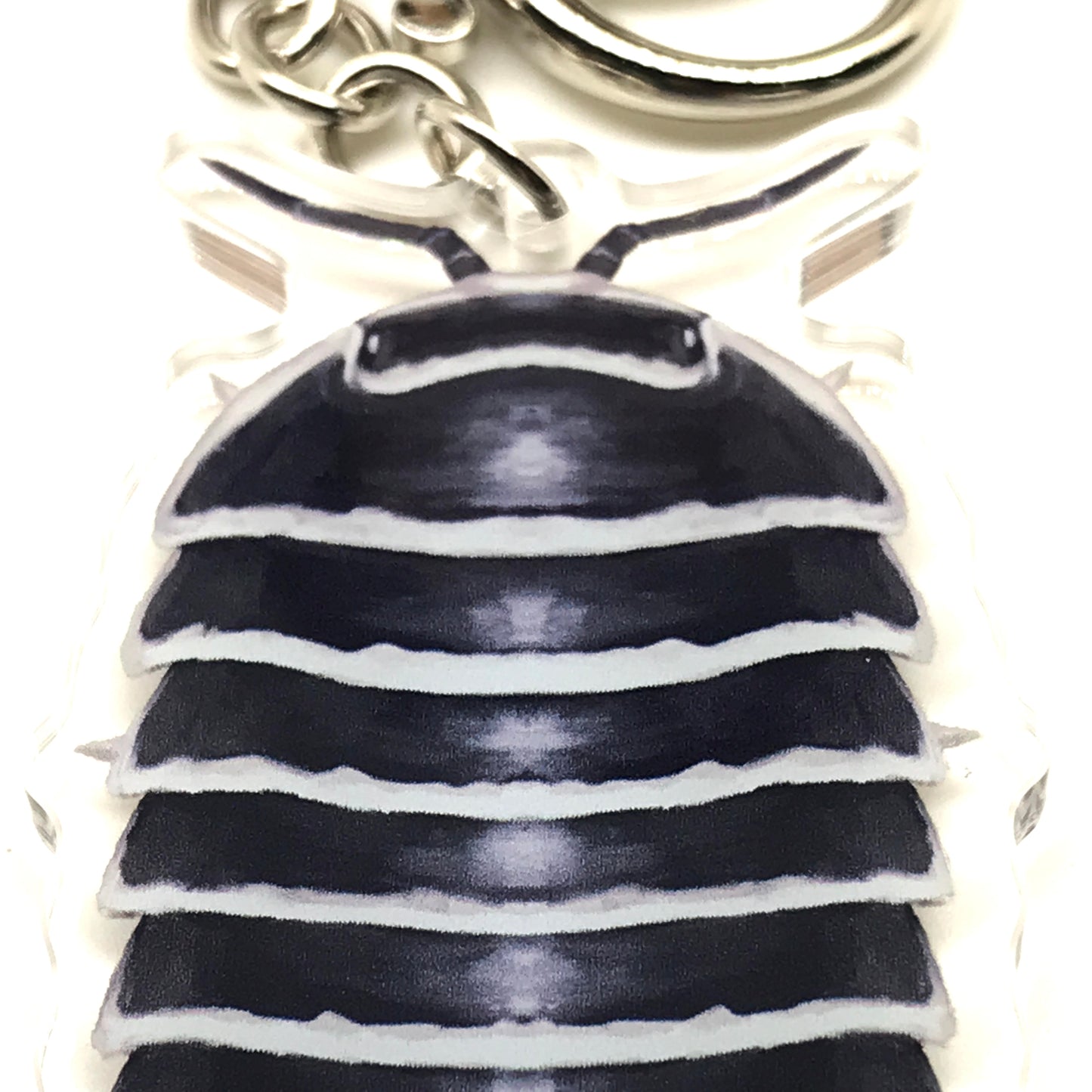 Zebra Isopod Armadillidium Maculatum acrylic keychain charm with black and white striped pattern, featuring detailed insect design.
