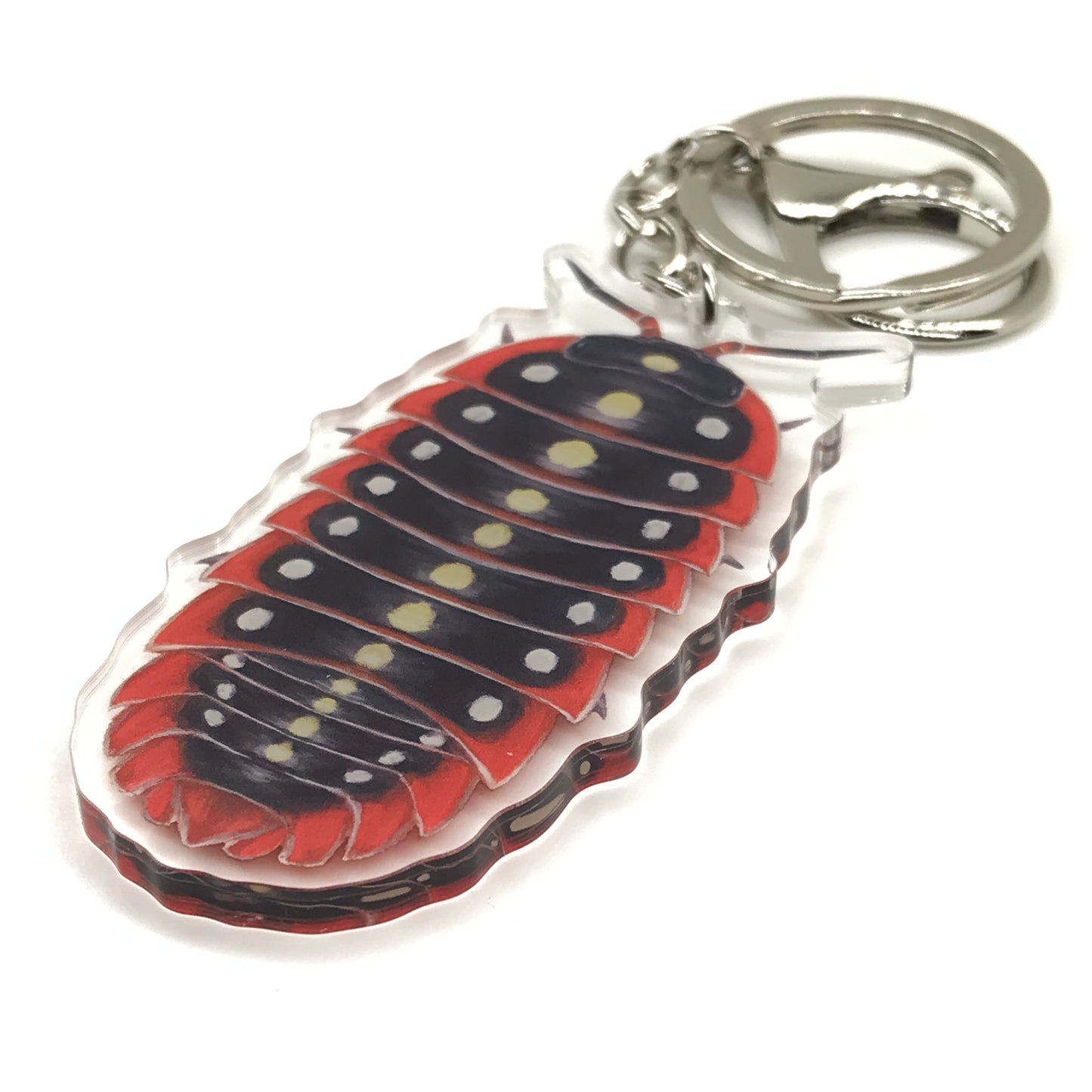 Clown Isopod Armadillidium Klugii acrylic keychain charm with detailed depiction of a colorful isopod insect.