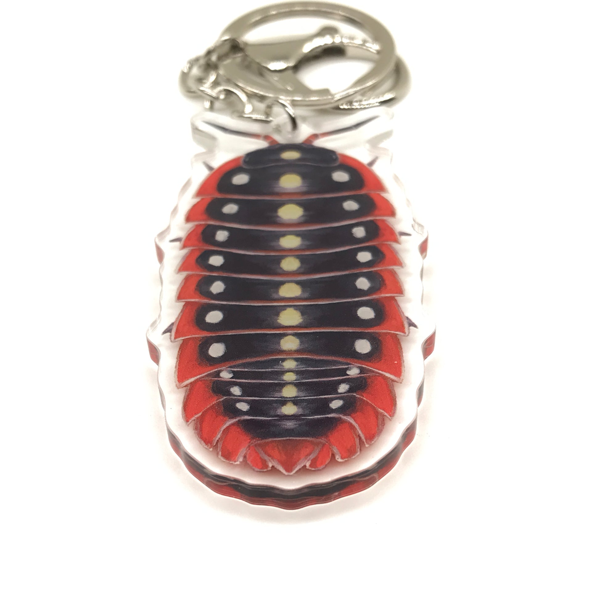 Clown Isopod Armadillidium Klugii acrylic keychain charm, featuring a colorful, detailed insect design on a clear acrylic backing.