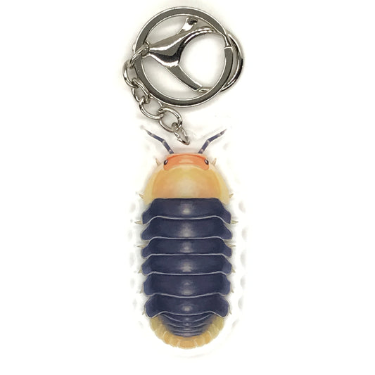 Rubber Ducky Isopod Keychain, Cubaris sp. Rubber Ducky Acrylic Charm from The Silk Ranch