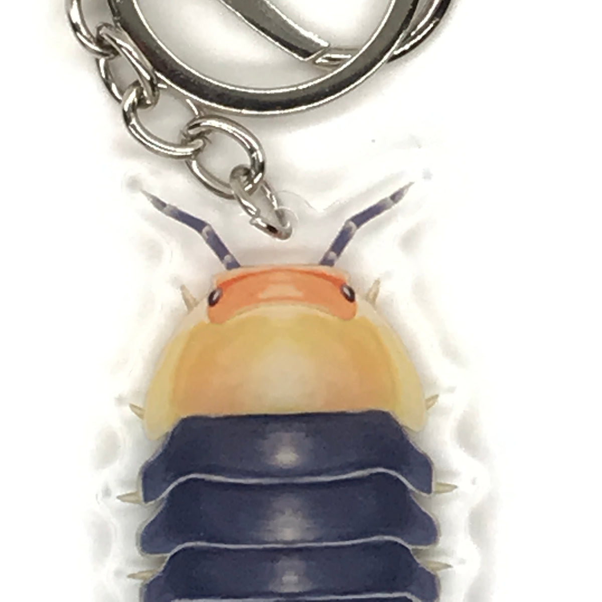 Rubber Ducky Isopod keychain with acrylic charm featuring Cubaris sp. rubber ducky design from The Silk Ranch.