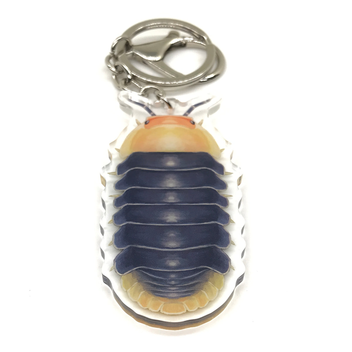 Rubber Ducky Isopod keychain by The Silk Ranch featuring a Cubaris sp. Rubber Ducky acrylic charm on a white background