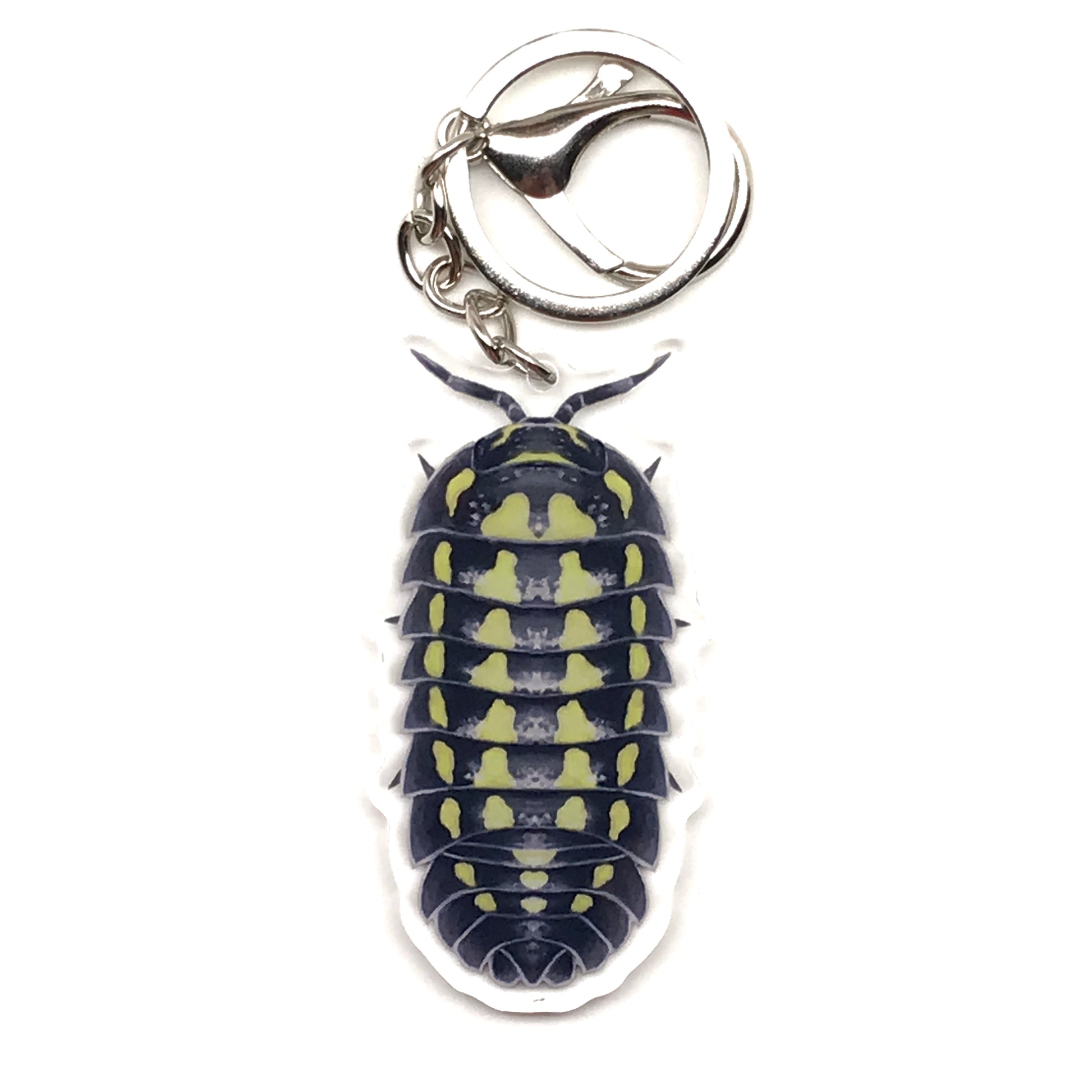 Acrylic armadillidium gestroi isopod keychain with detailed white and gray design, attached to a silver keyring.