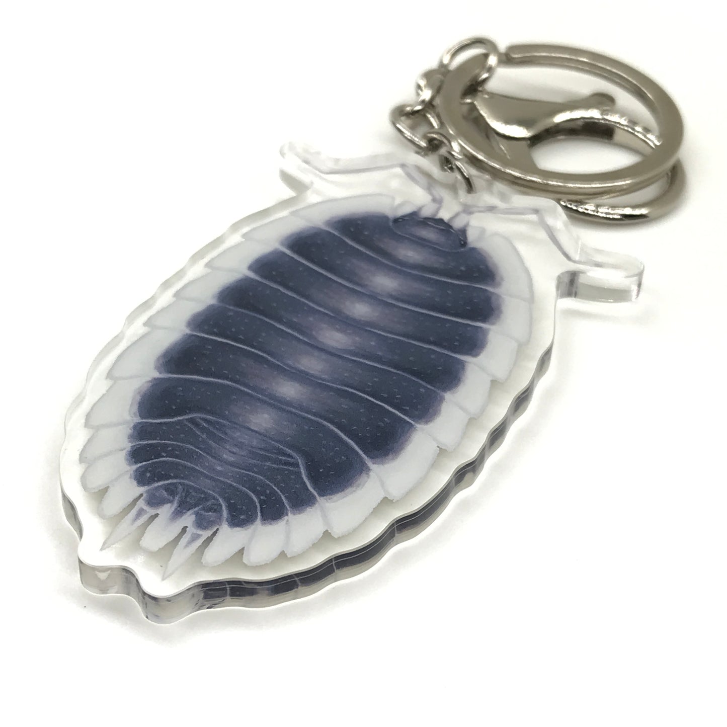 Greek Shield Isopod Porcellio Werneri acrylic keychain charm with detailed design and vibrant colors, attached to a metal keyring.