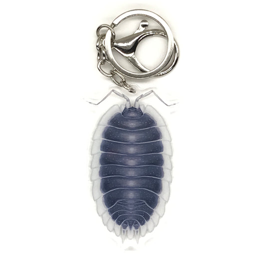 Greek Shield Isopod Keychain, Porcellio Werneri Acrylic Charm from The Silk Ranch