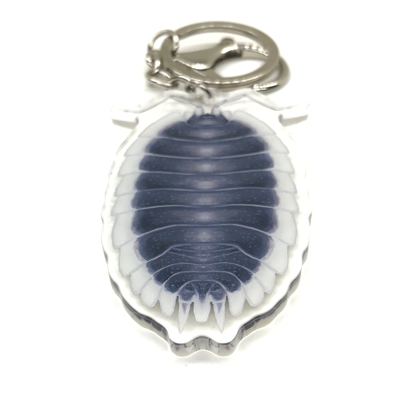 Greek Shield Isopod keychain featuring Porcellio werneri acrylic charm from The Silk Ranch with detailed marine-inspired design.