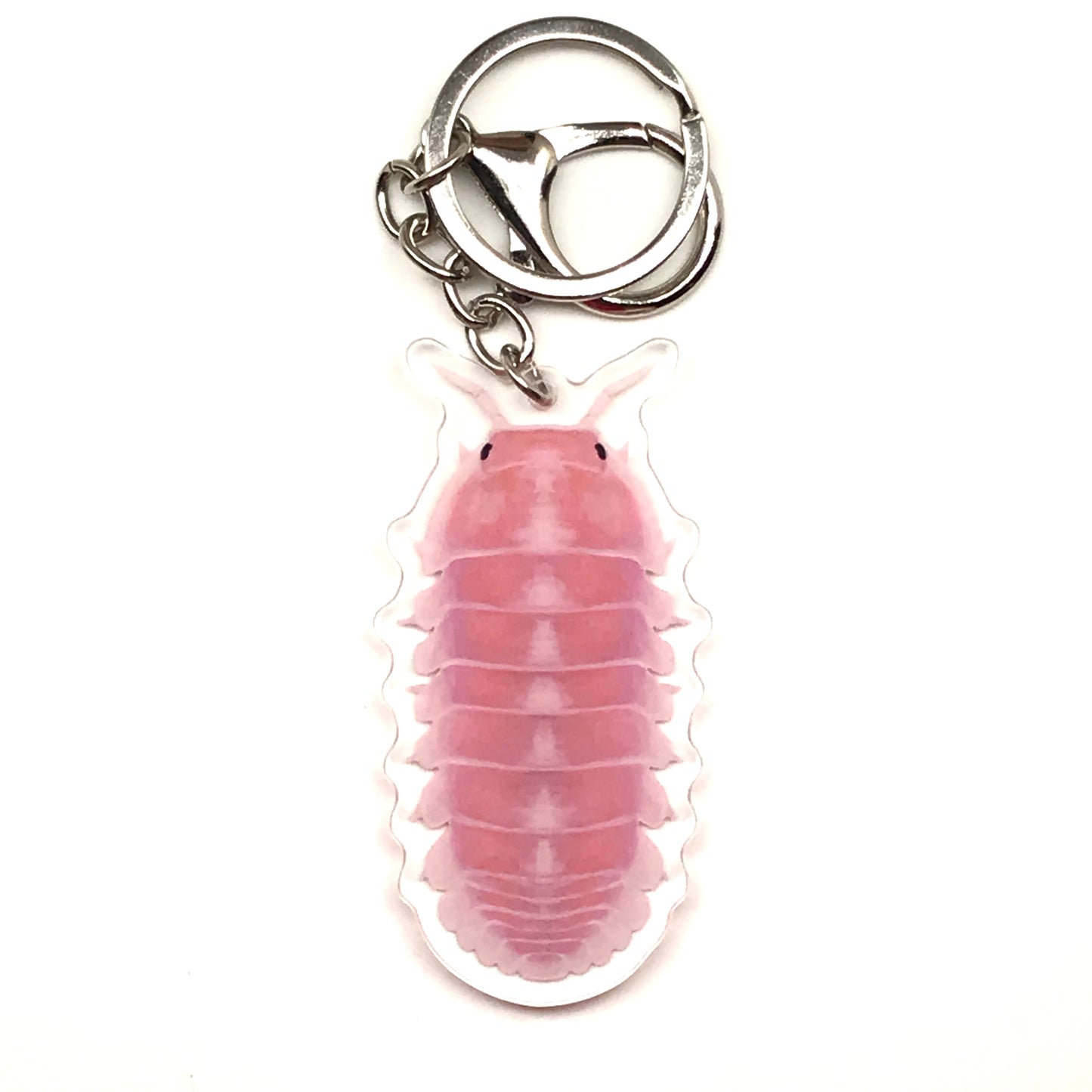 Cherry Blossom Isopod keychain from Cubaris Sp. Cherry Blossom acrylic charm by The Silk Ranch, featuring a detailed pink and white insect design.