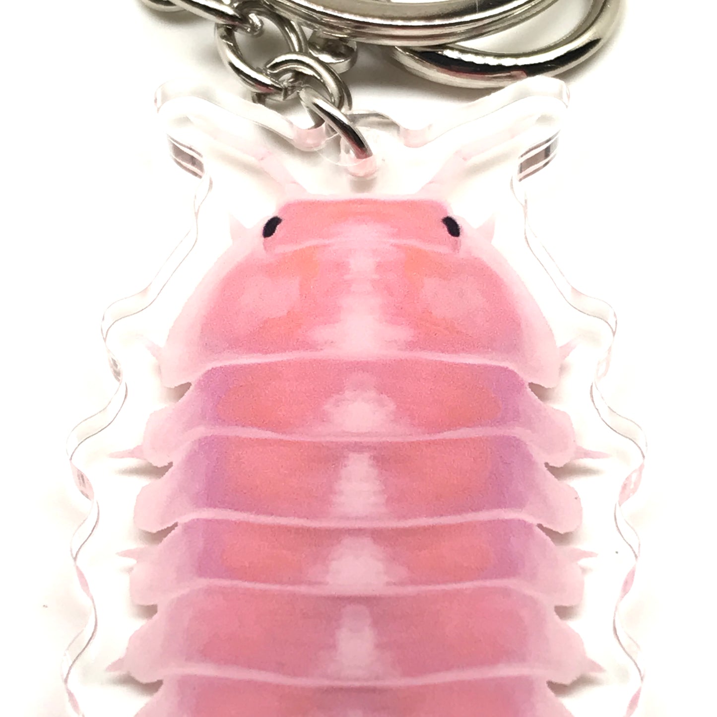 Cherry Blossom Isopod keychain by The Silk Ranch featuring a Cubaris sp. Cherry Blossom acrylic charm with detailed pink and white blossom design.