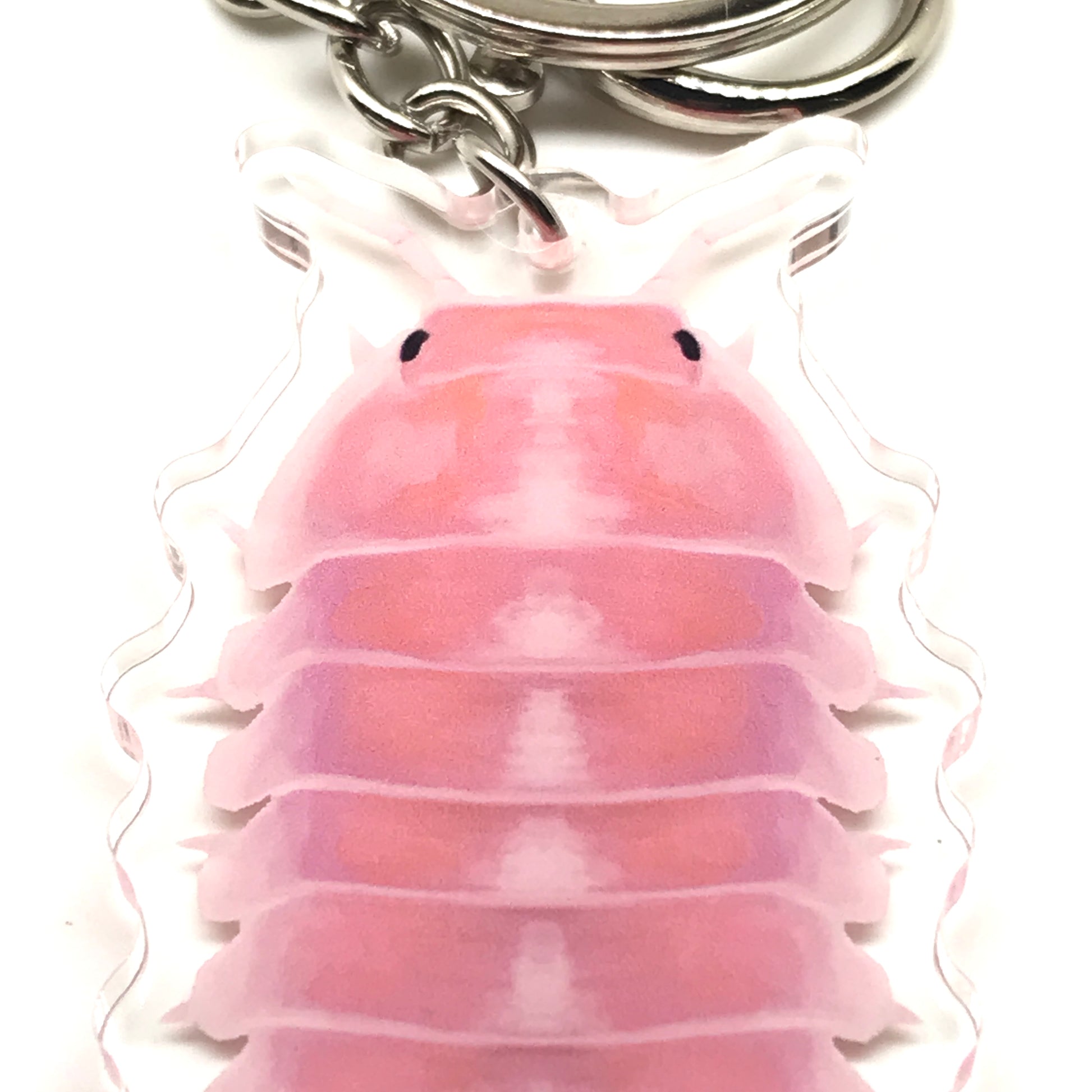 Cherry Blossom Isopod keychain by The Silk Ranch featuring a Cubaris sp. Cherry Blossom acrylic charm with detailed pink and white blossom design.