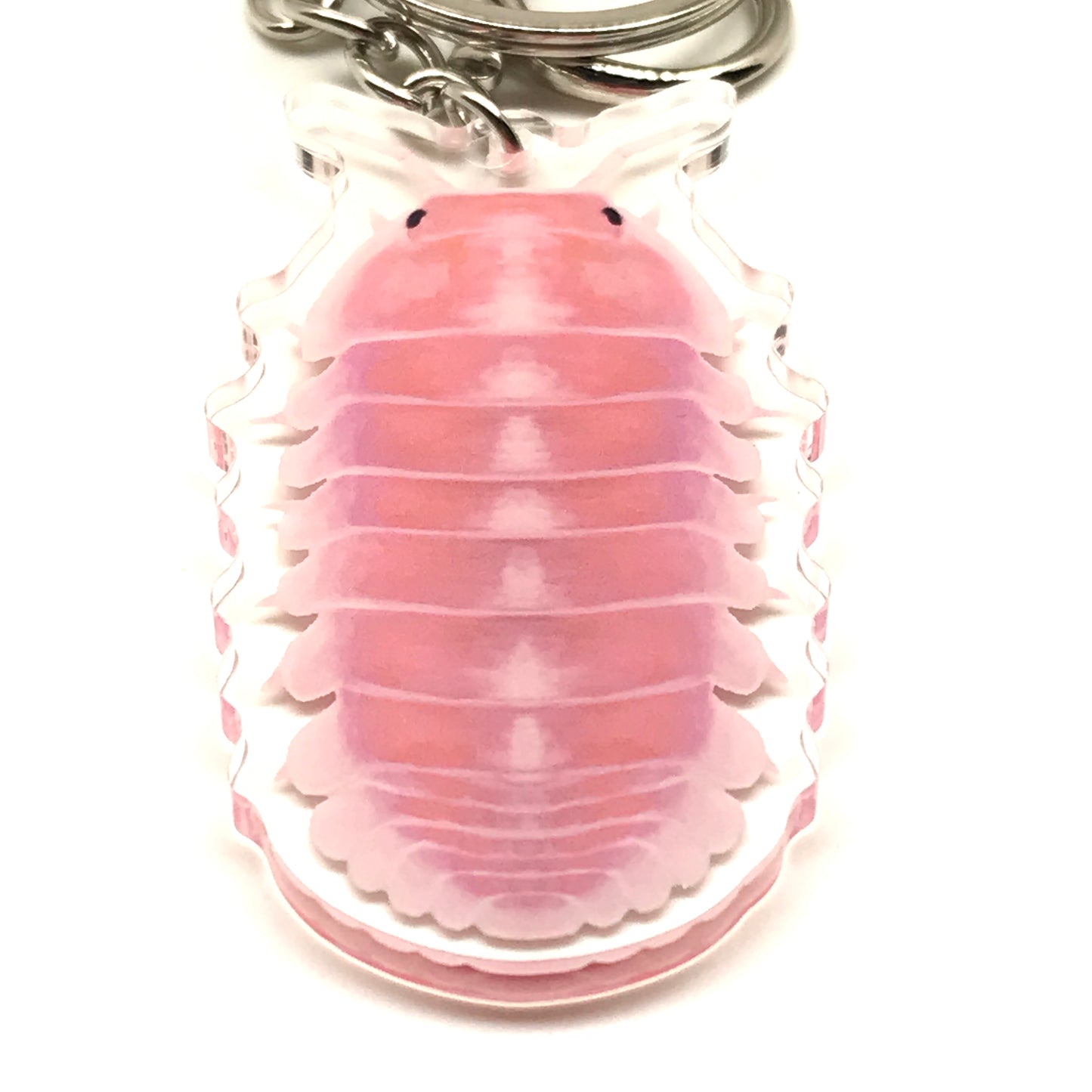 Cherry Blossom Isopod keychain by The Silk Ranch featuring a Cubaris Sp. Cherry Blossom acrylic charm on a keyring.