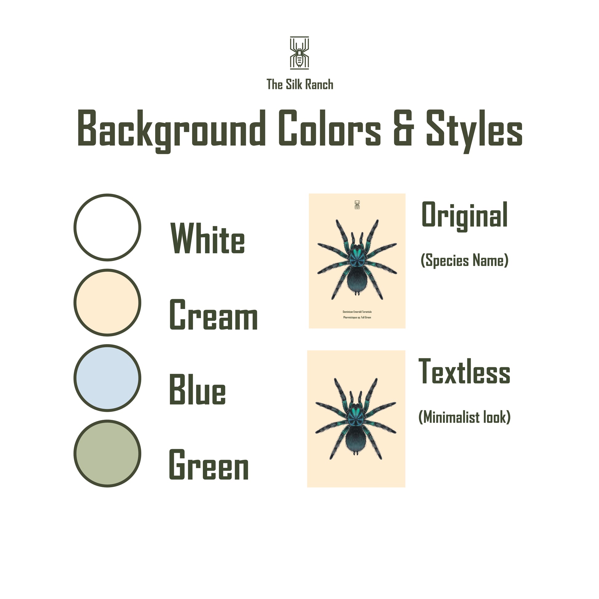 Hellfire Widow art print by The Silk Ranch, featuring detailed illustration of Latrodectus exlaos spider on textured paper background.