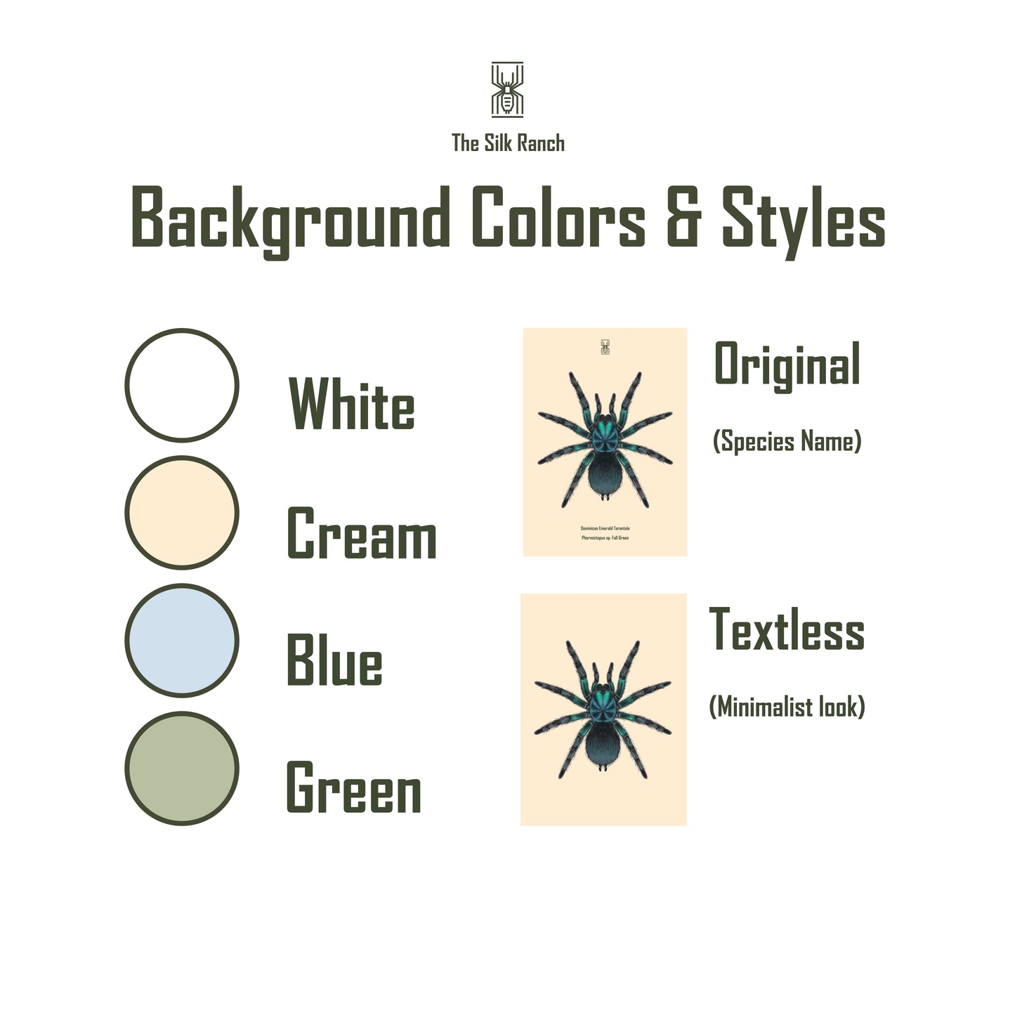 Art print of a Goliath Pinktoe Tarantula (Avicularia braunshauseni) featuring detailed, vibrant spider artwork by The Silk Ranch.