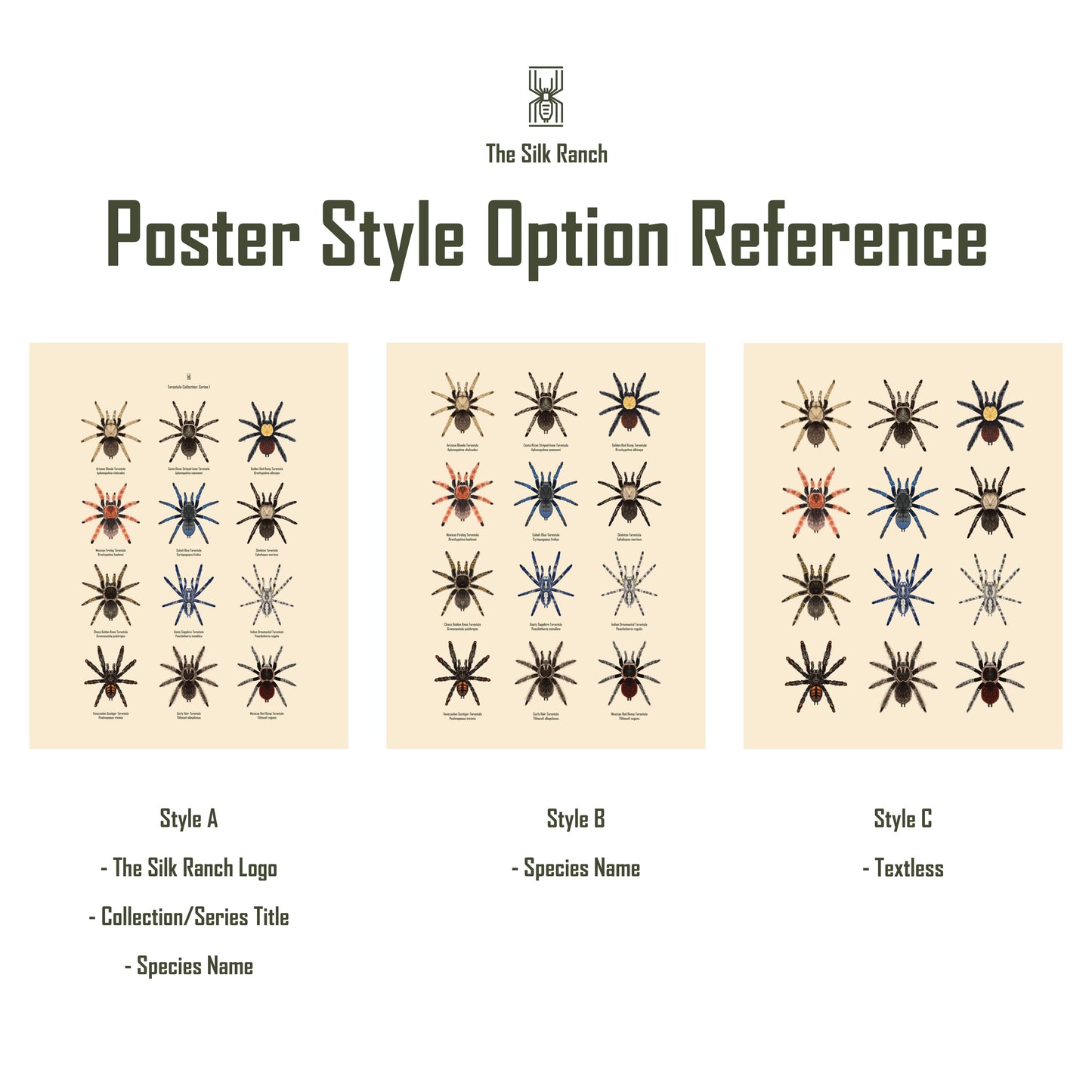 Tarantulas of Brazil I Poster from The Silk Ranch