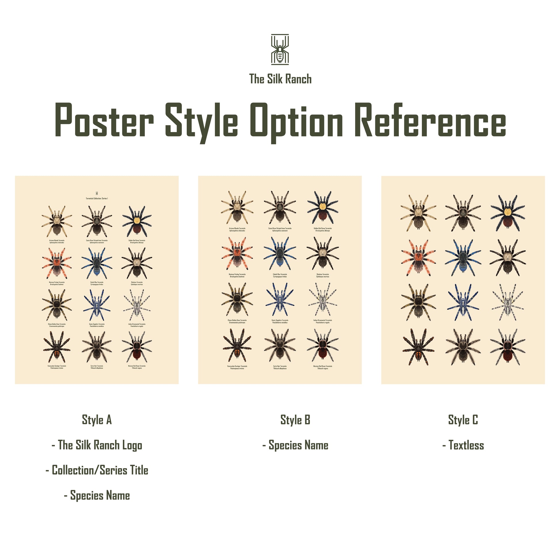 Tarantula Collection: Series IV Poster from The Silk Ranch