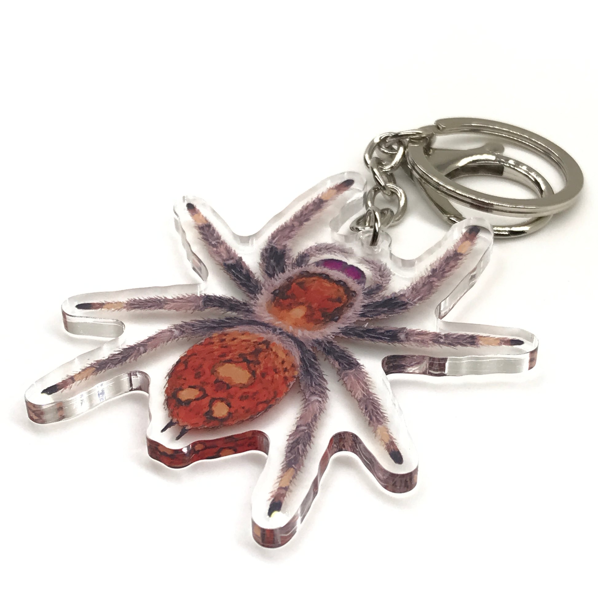 Acrylic keychain featuring a female Regal Jumping Spider (Phidippus regius) from The Silk Ranch, detailed with vibrant colors and realistic design.
