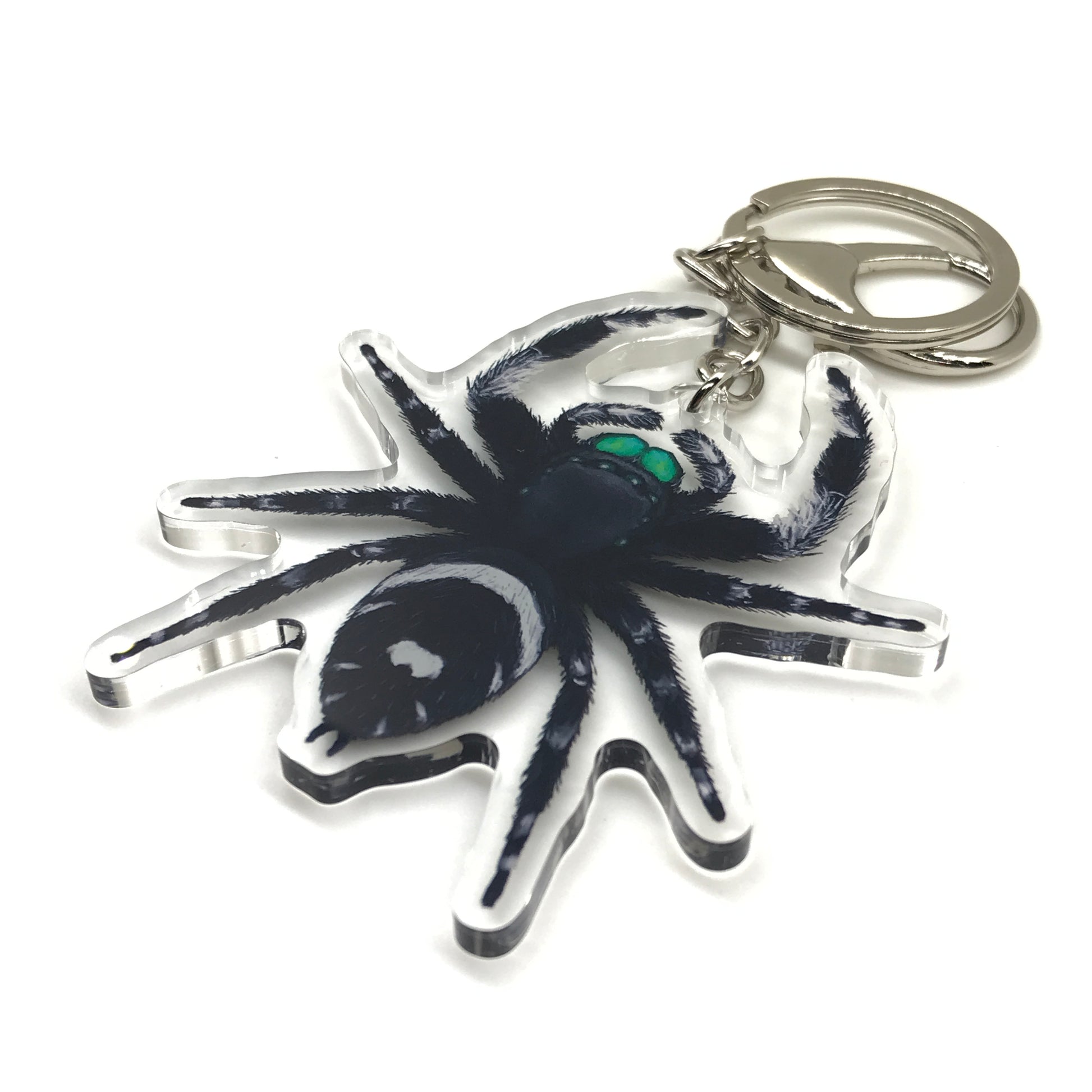 Male Phidippus regius jumping spider keychain acrylic charm from The Silk Ranch with detailed spider design.