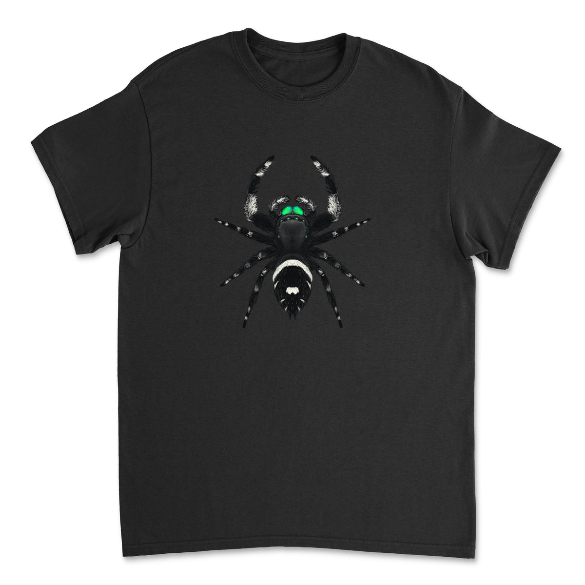 Regal Jumping Spider Phidippus regius art T-shirt featuring detailed spider illustration on a black Gildan T-shirt.