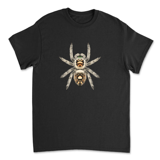 Canopy Jumping Spider Phidippus otiosus art T-shirt featuring a detailed illustration of the jumping spider on a plain background.