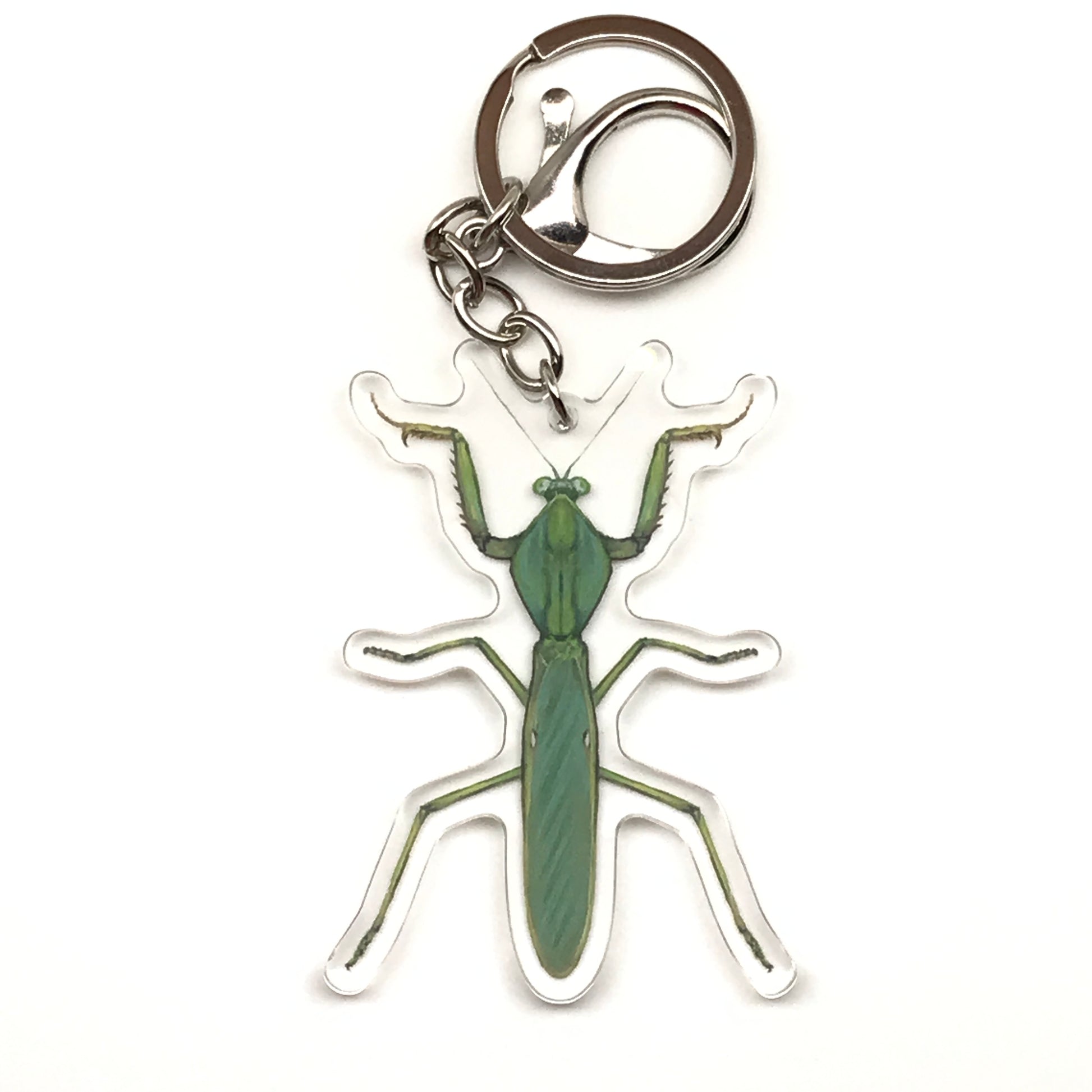 Giant Malaysian Shield Mantis Keychain, Rhombodera Basalis Acrylic Charm from The Silk Ranch