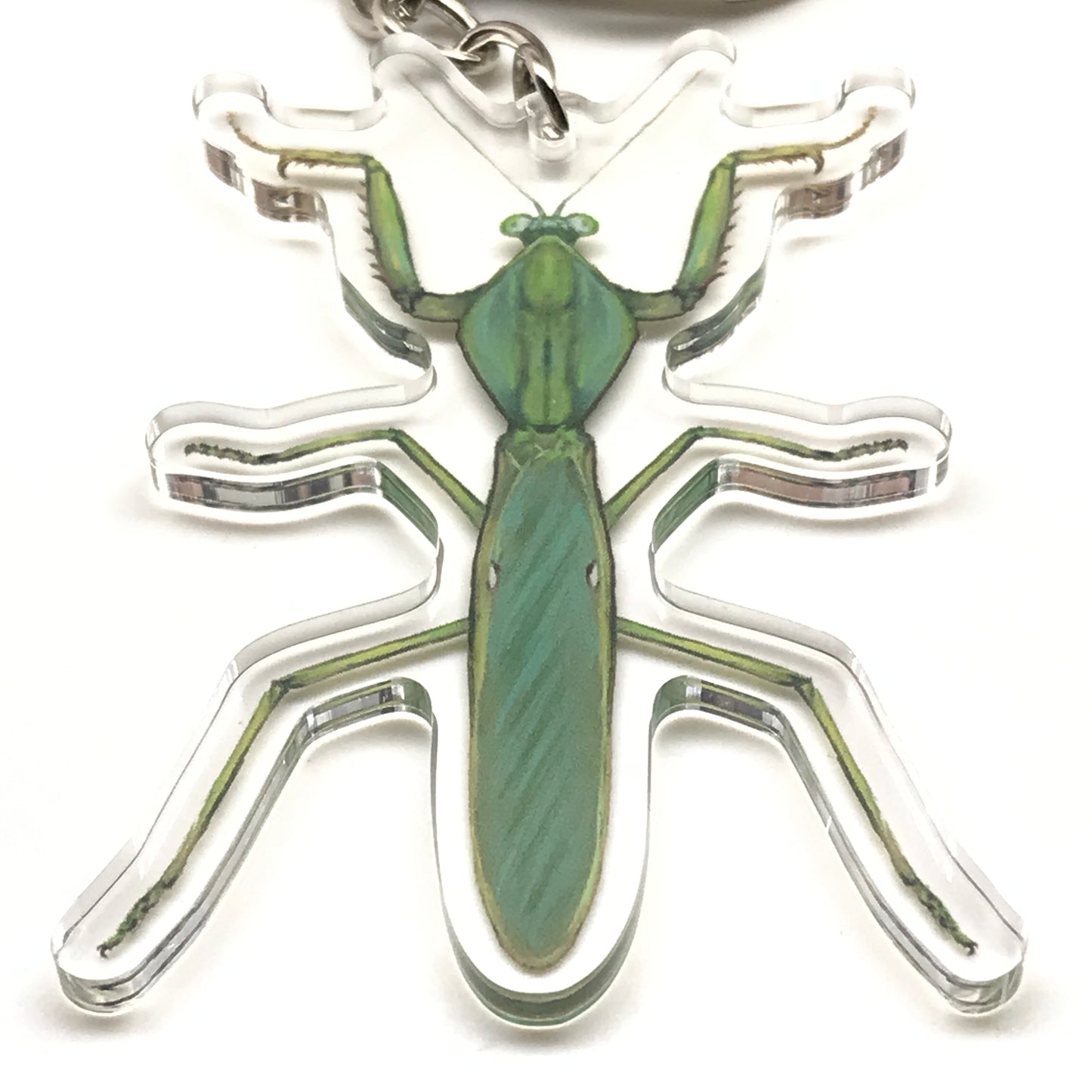 Giant Malaysian Shield Mantis Keychain, Rhombodera Basalis Acrylic Charm from The Silk Ranch