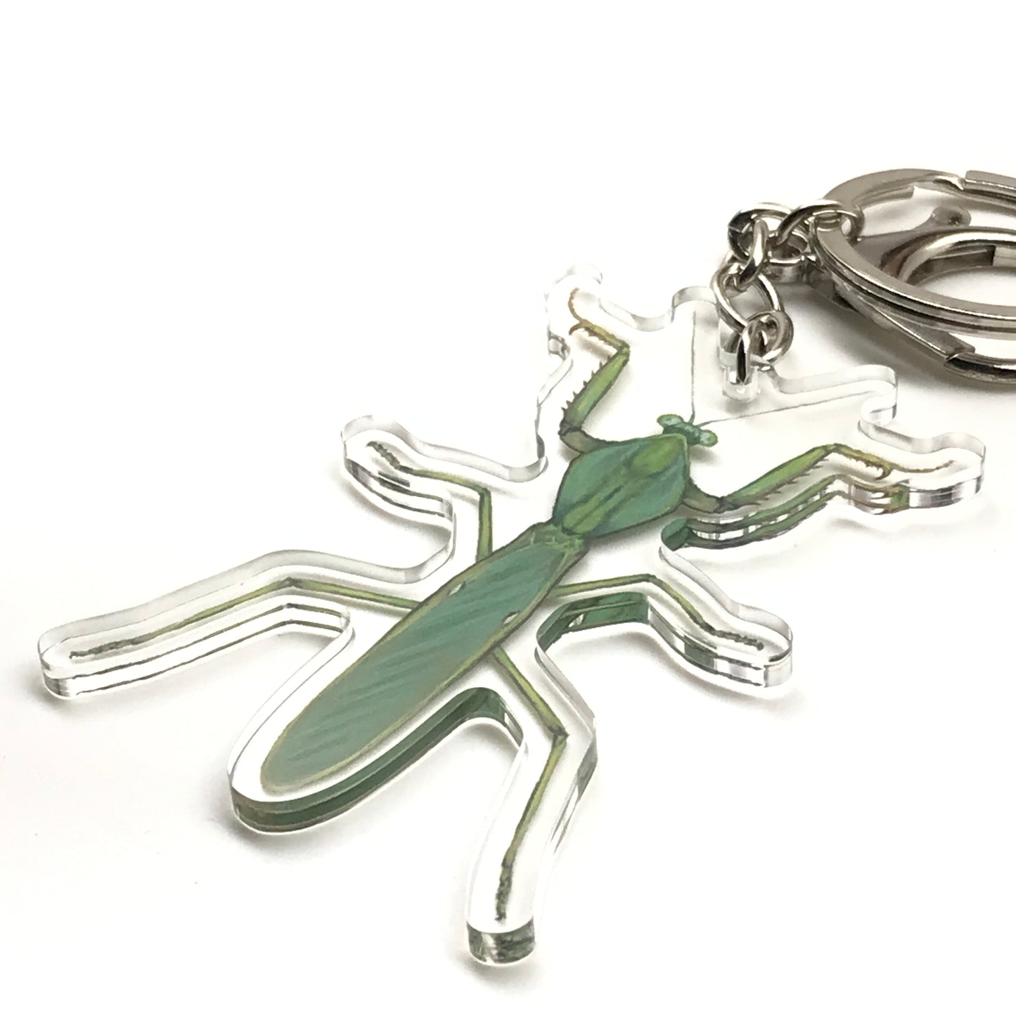 Giant Malaysian Shield Mantis Keychain, Rhombodera Basalis Acrylic Charm from The Silk Ranch