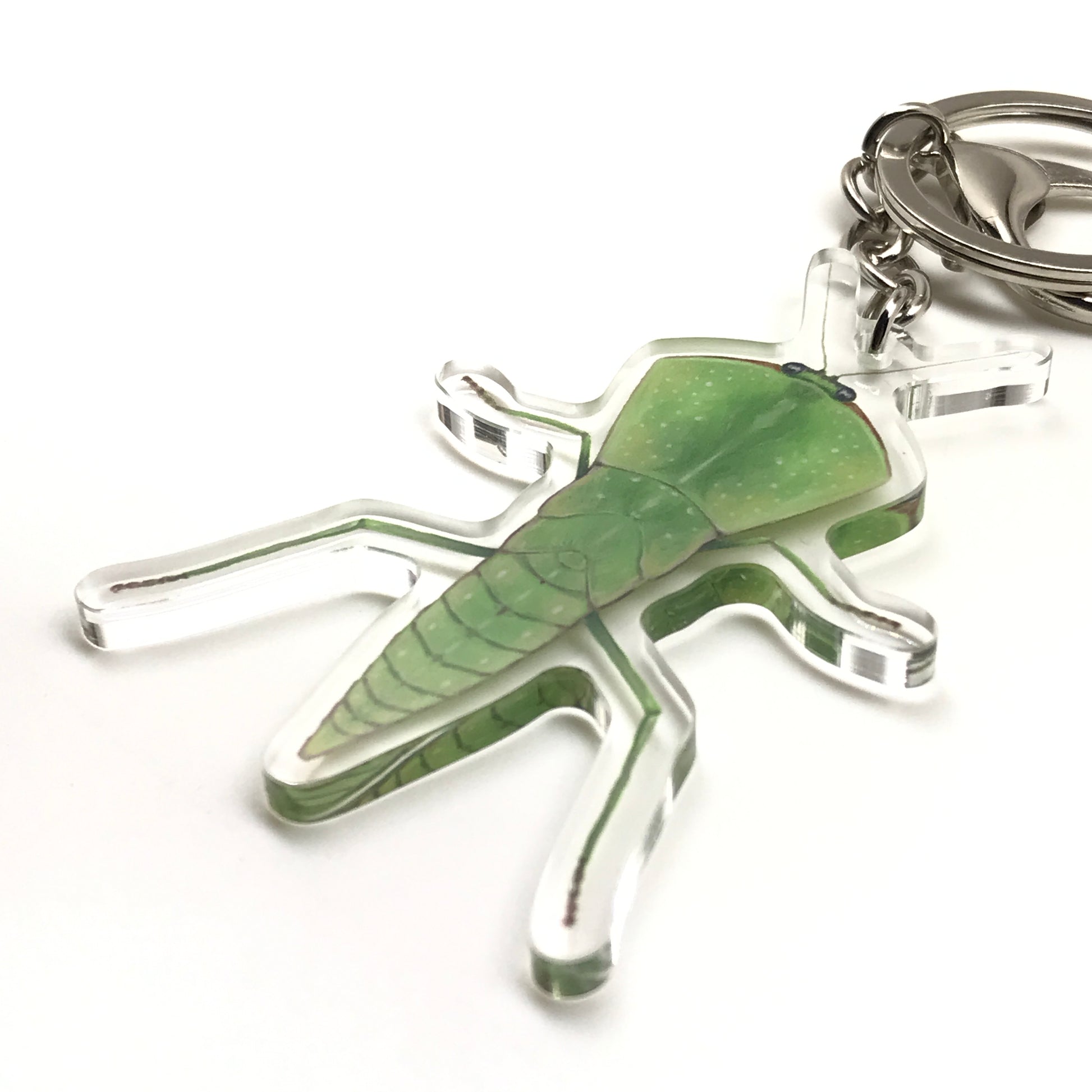 Chinese Shield Mantis Keychain, Asiadodis Yunnanensis Acrylic Charm from The Silk Ranch