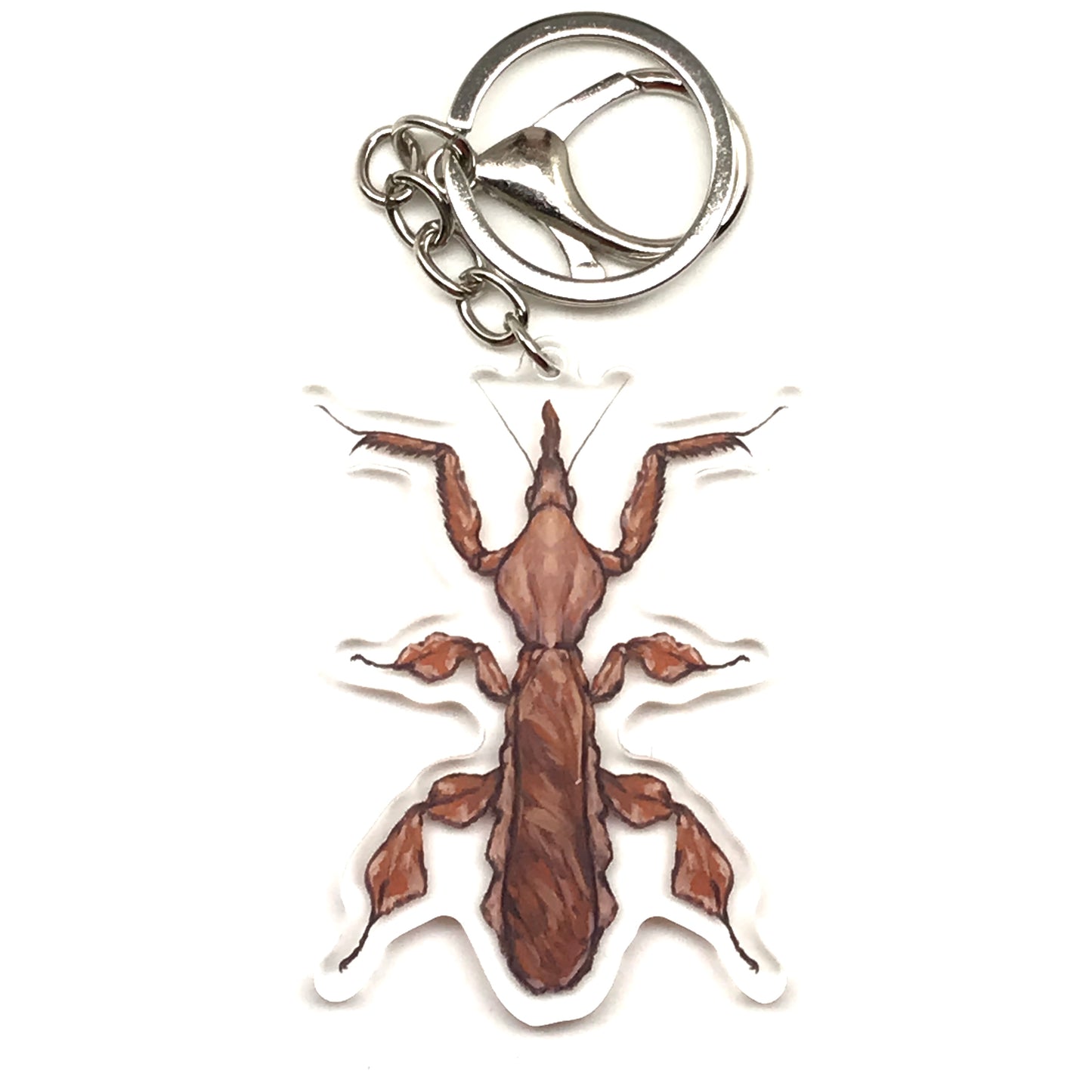Ghost Mantis keychain made of acrylic featuring a Phyllocrania Paradoxa insect charm from The Silk Ranch.
