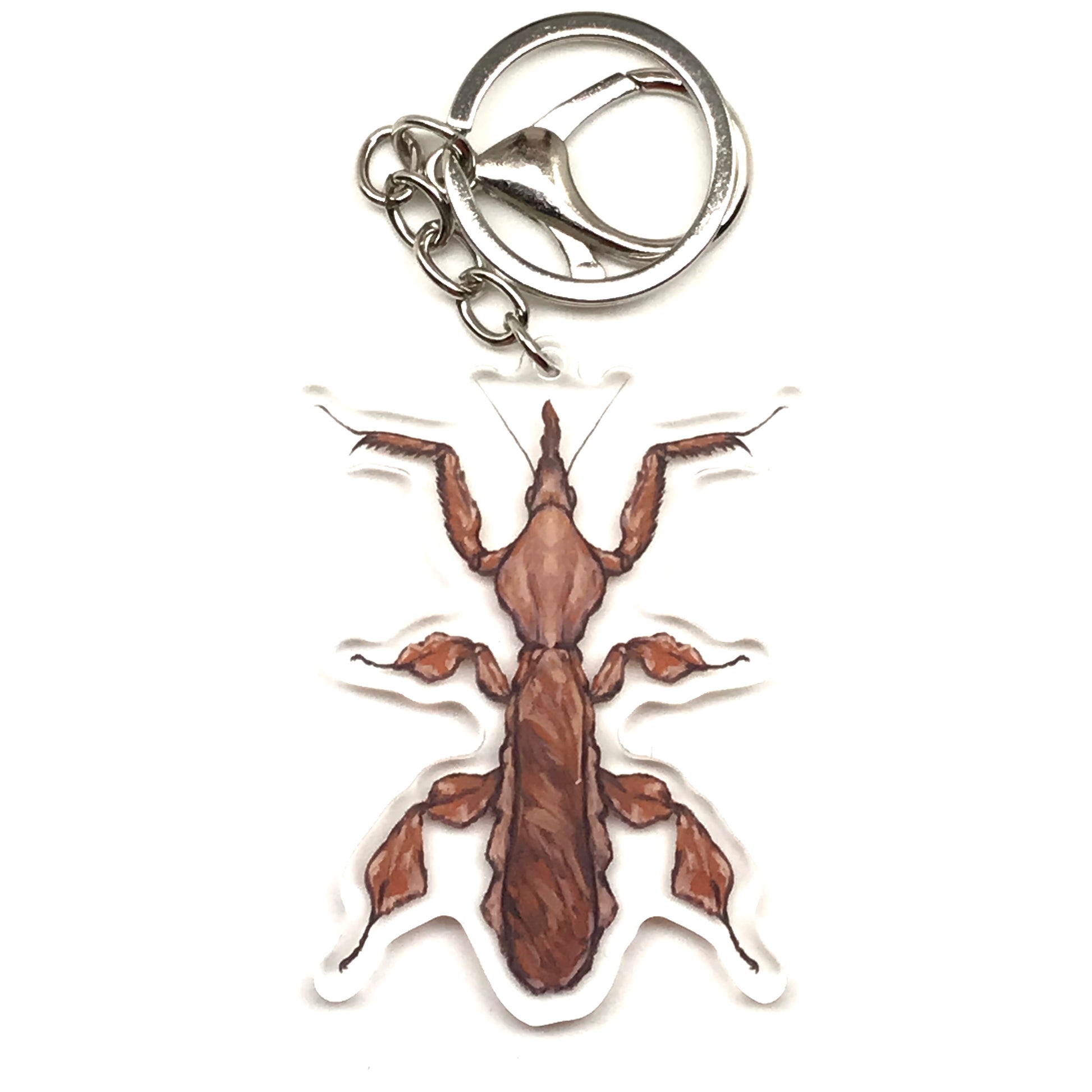Ghost Mantis keychain made of acrylic featuring a Phyllocrania Paradoxa insect charm from The Silk Ranch.