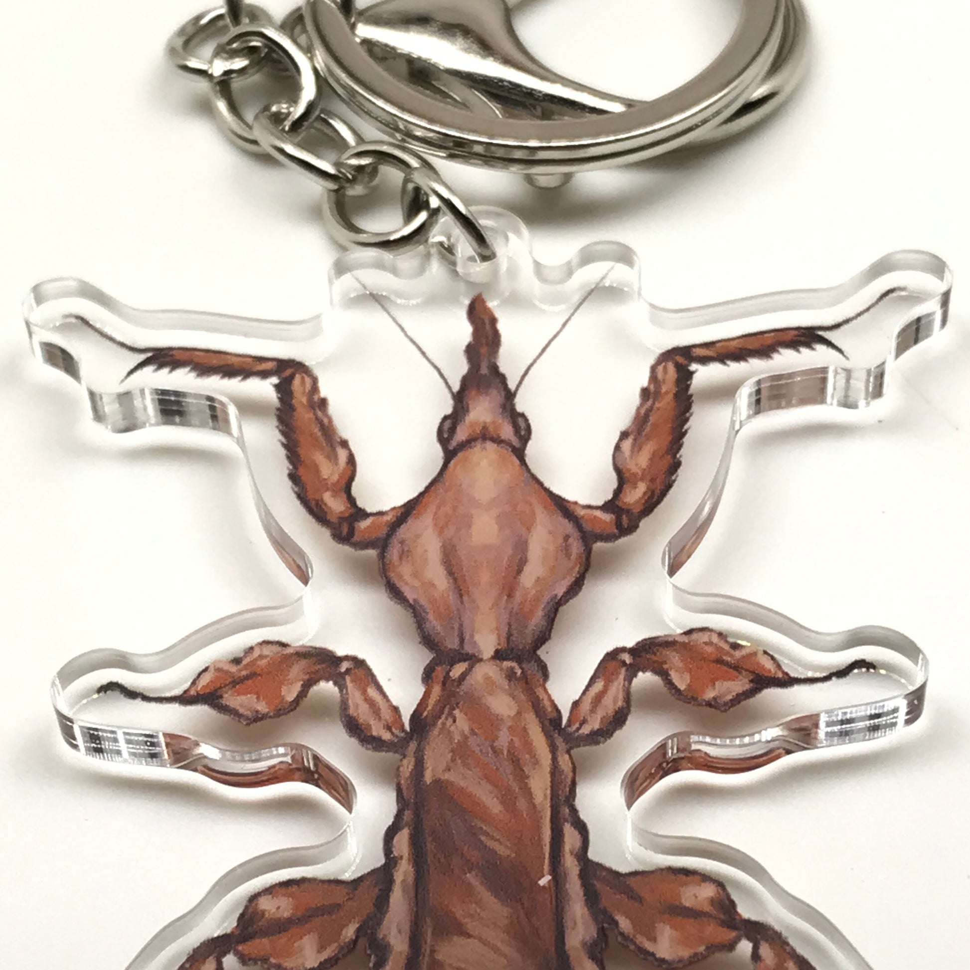 Ghost Mantis keychain by The Silk Ranch featuring an acrylic charm of the Phyllocrania Paradoxa mantis on a keyring.
