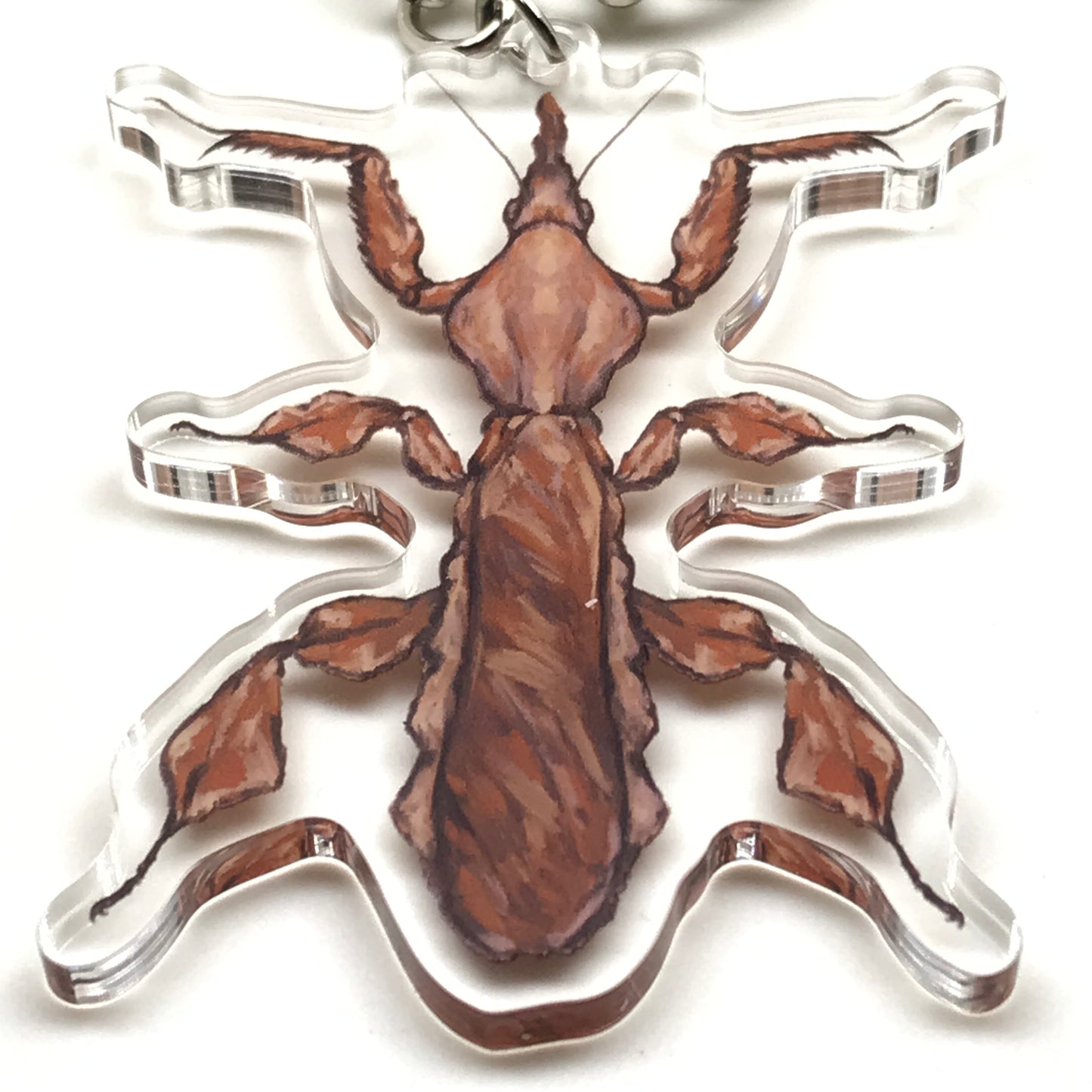 Acrylic Ghost Mantis keychain featuring a detailed Phyllocrania Paradoxa insect charm with a clear loop for attaching to keys or bags.