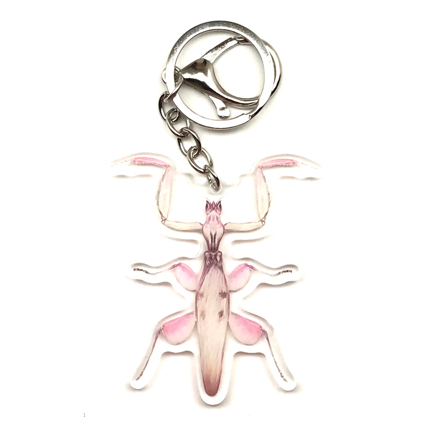 Orchid Mantis Keychain, Hymanopus Coronatus Acrylic Charm from The Silk Ranch