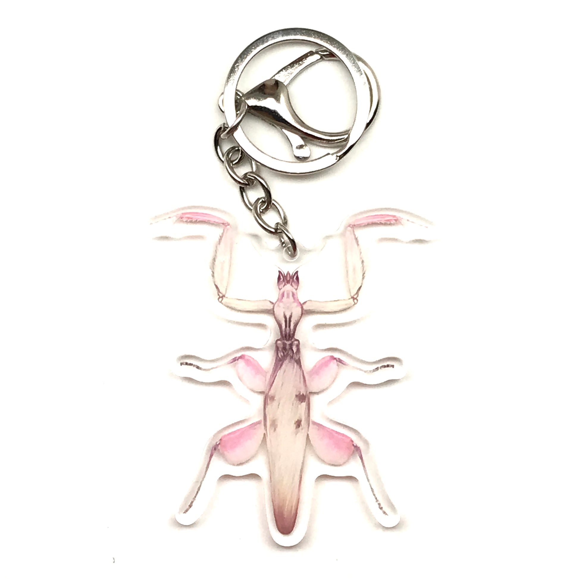 Orchid Mantis Keychain, Hymanopus Coronatus Acrylic Charm from The Silk Ranch