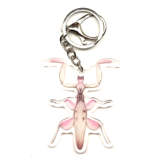 Orchid Mantis Keychain, Hymanopus Coronatus Acrylic Charm from The Silk Ranch
