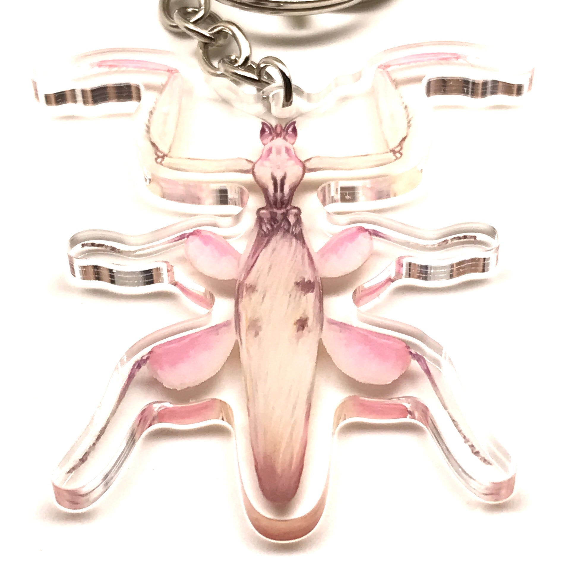 Orchid Mantis Keychain, Hymanopus Coronatus Acrylic Charm from The Silk Ranch