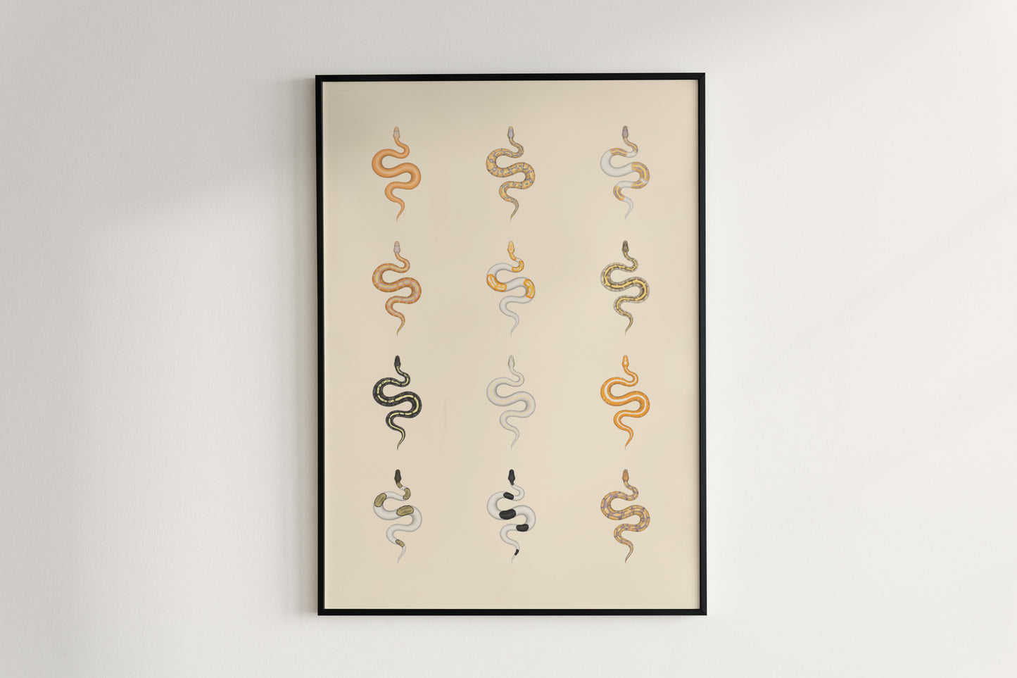 Ball Python Series 2 Poster from The Silk Ranch