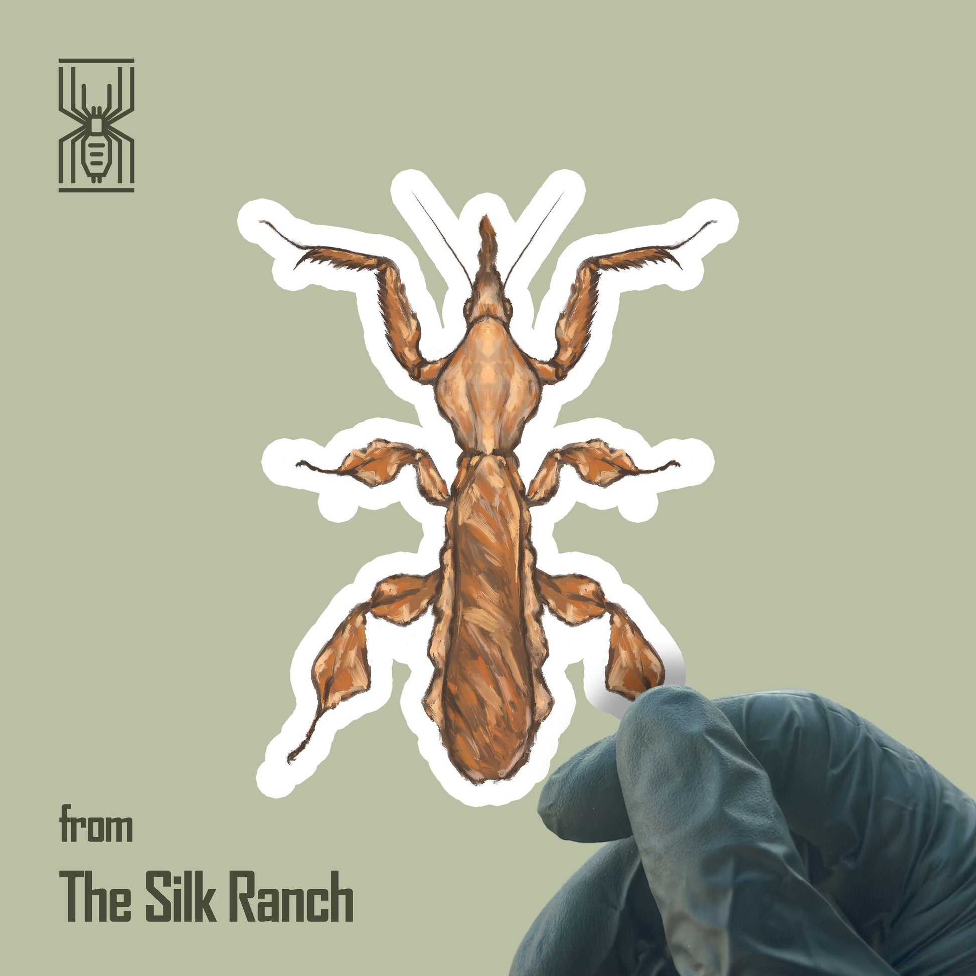 Ghost Mantis Sticker, Phyllocrania Paradoxa Waterproof Vinyl Sticker from The Silk Ranch