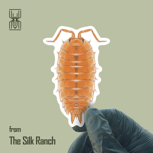 Orange Scaber Isopod Sticker, Porcellio Scaber Waterproof Vinyl Sticker from The Silk Ranch