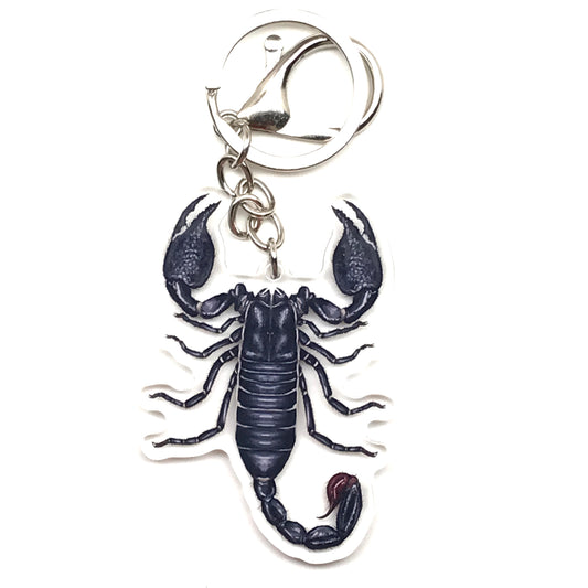 Emperor Scorpion Keychain, Pandinus Imperator Acrylic Charm from The Silk Ranch