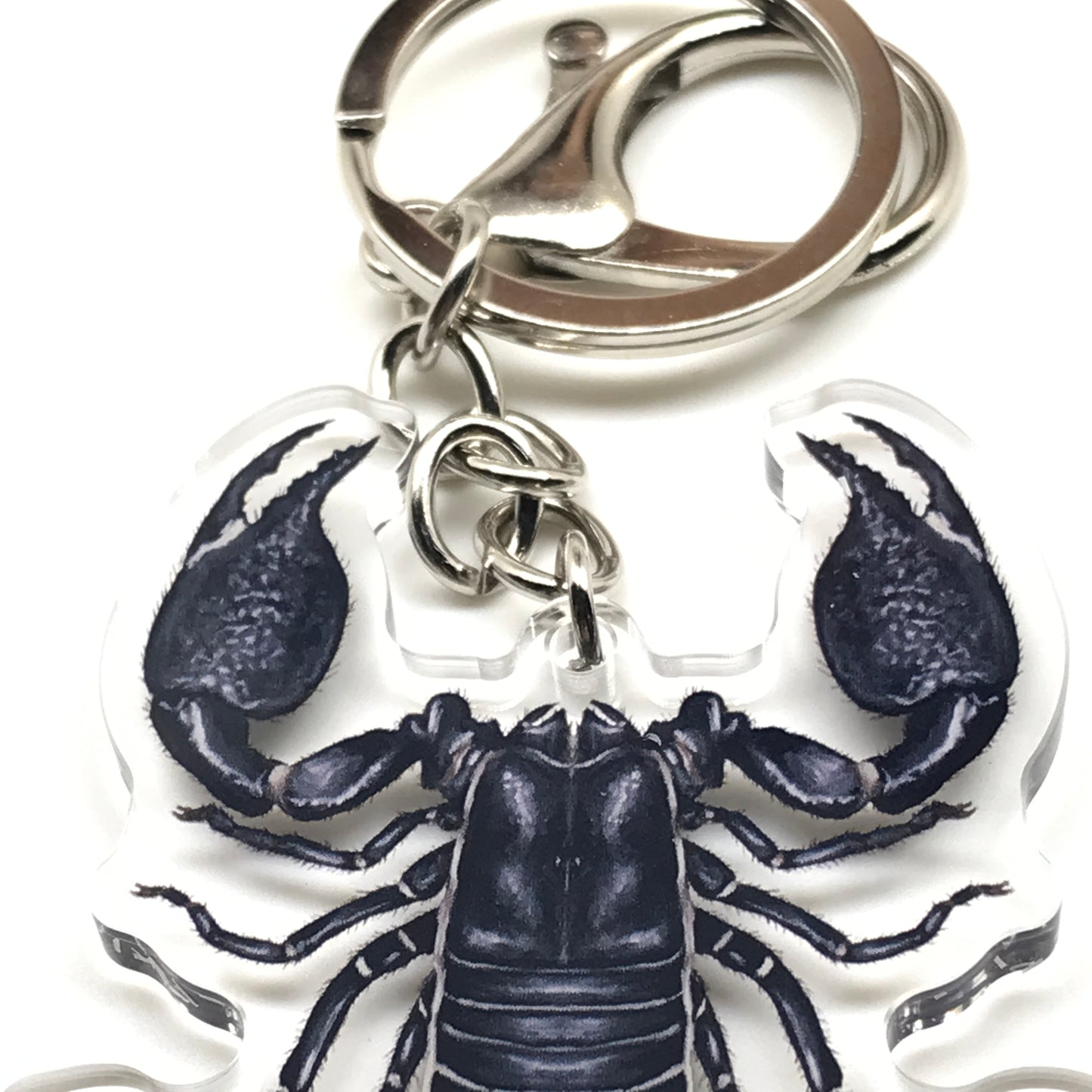 Acrylic Emperor Scorpion keychain featuring a detailed Pandinus imperator design, perfect for accessorizing bags or keys.