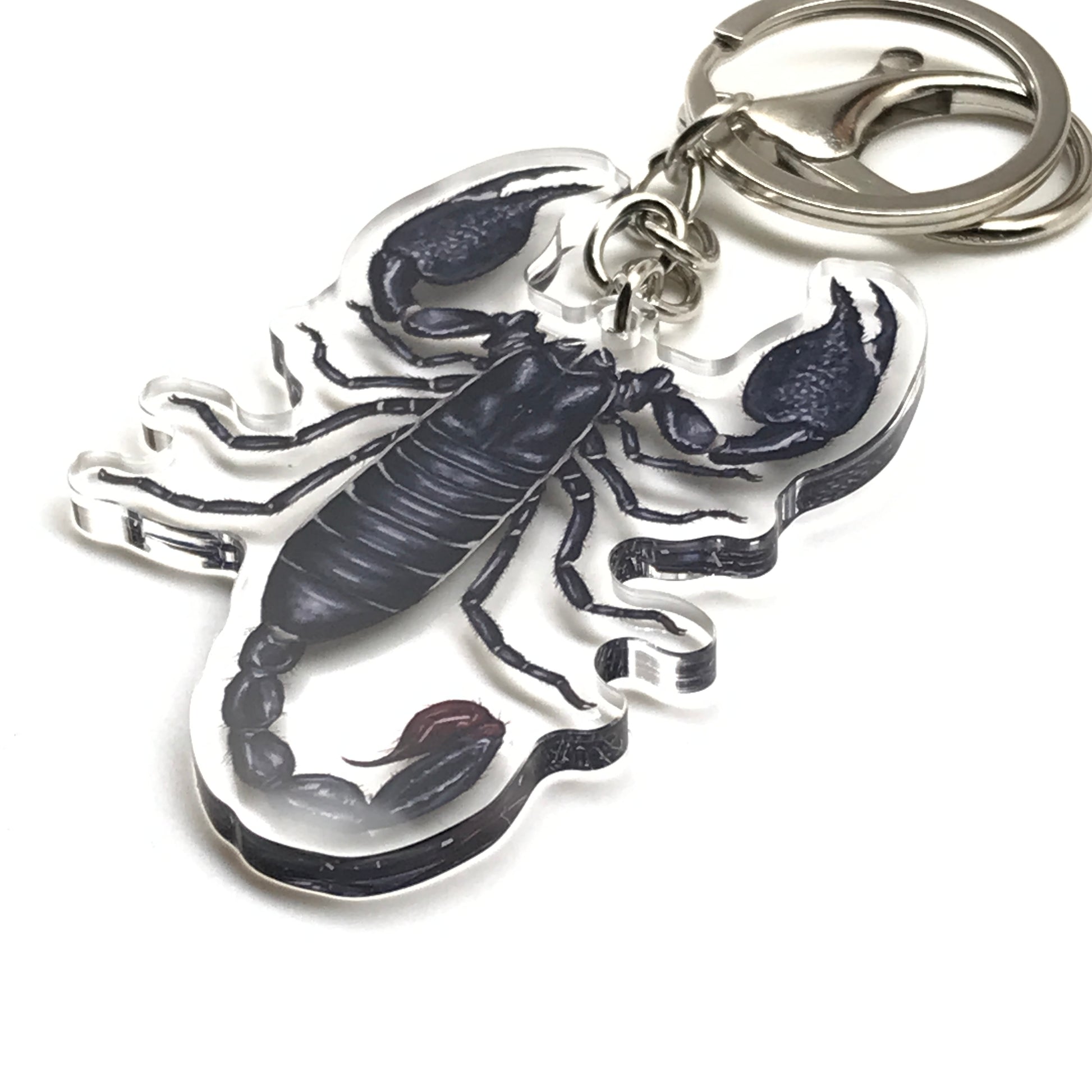 Acrylic keychain featuring a realistic Emperor Scorpion (Pandinus imperator) charm with detailed black and brown coloring.